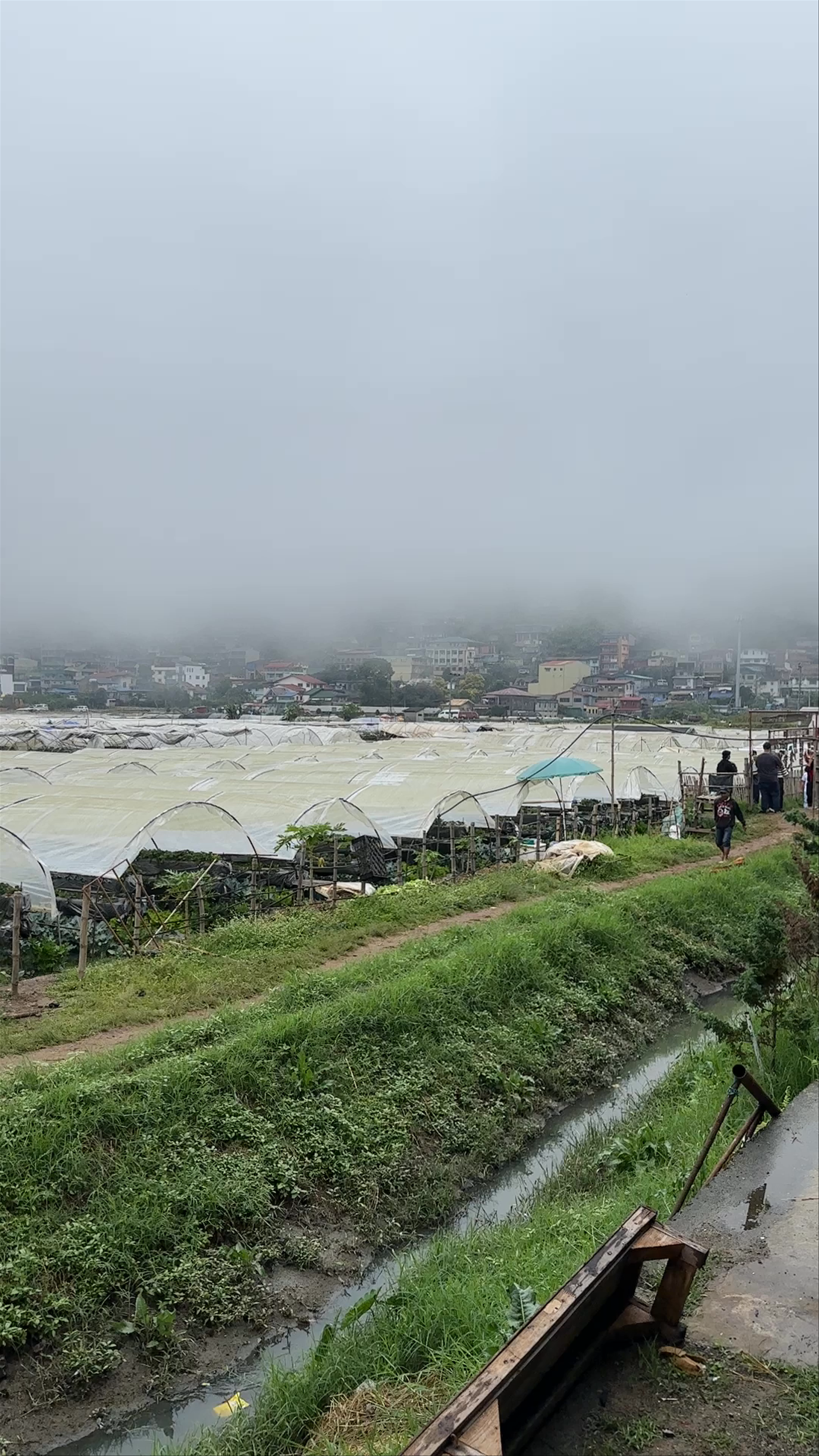 Strawberry Farm - Home of Giant Strawberry Cake