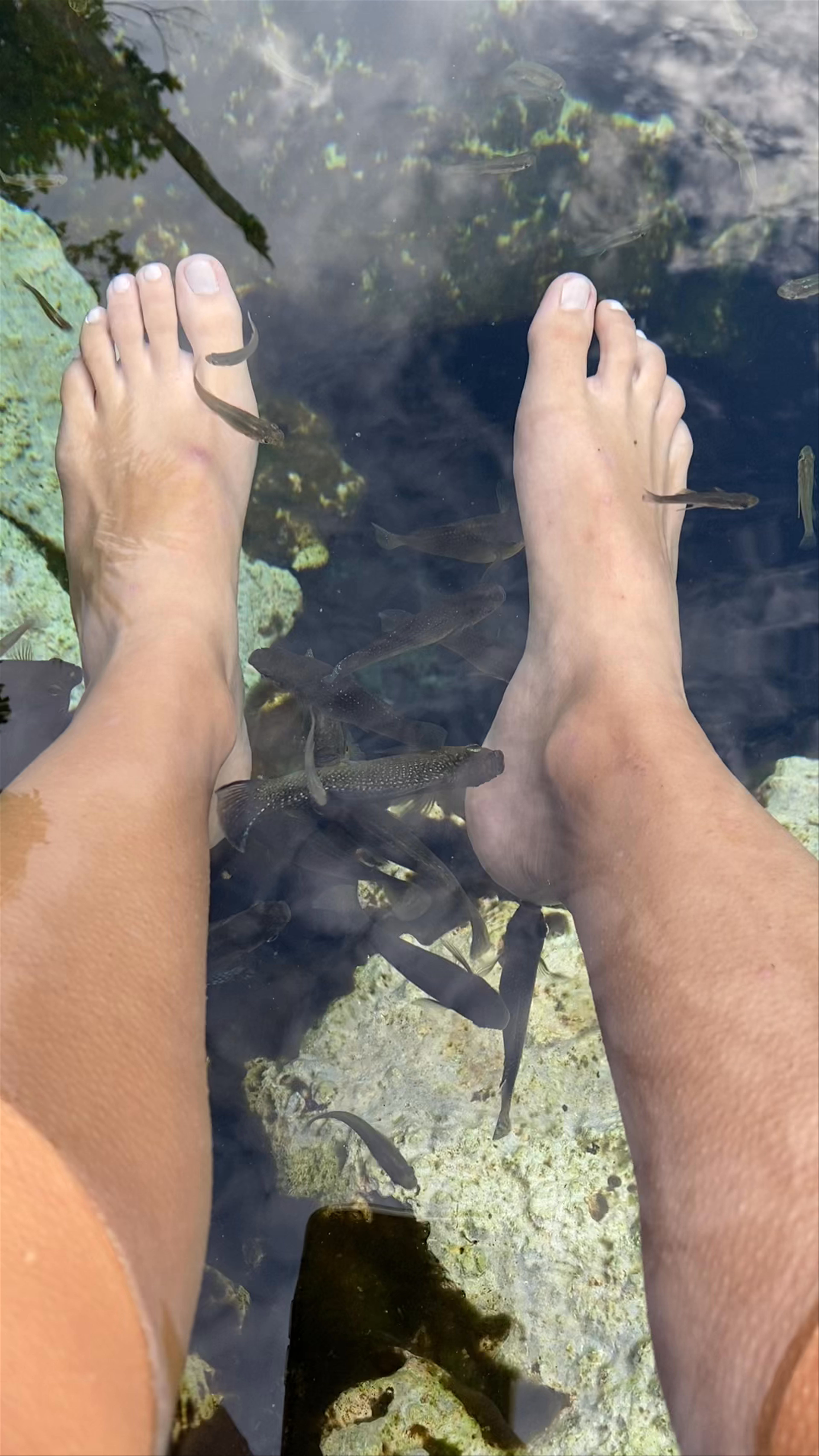 Healing Waters of Cenote Azul: Natural Fish Spa in Quintana Roo, Mexico