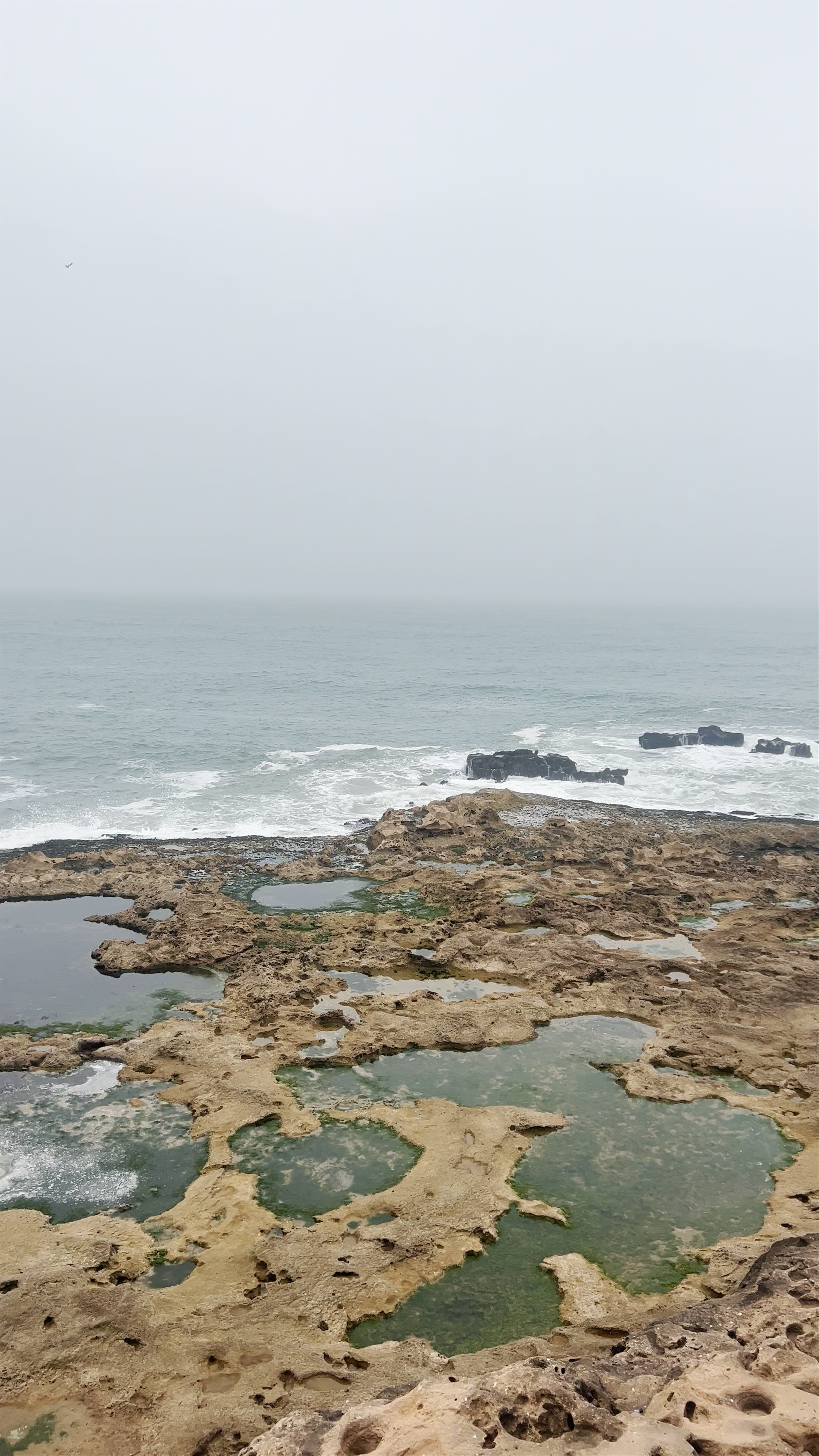 Historic Coastal Views at Essaouira's Old Fortress
