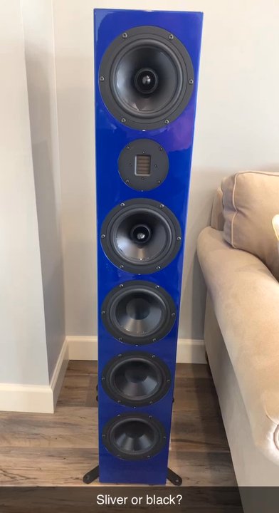 Electronic Environments - Custom RBH Speakers - Home Theatre Installation Near Me - Memphis, Tennessee