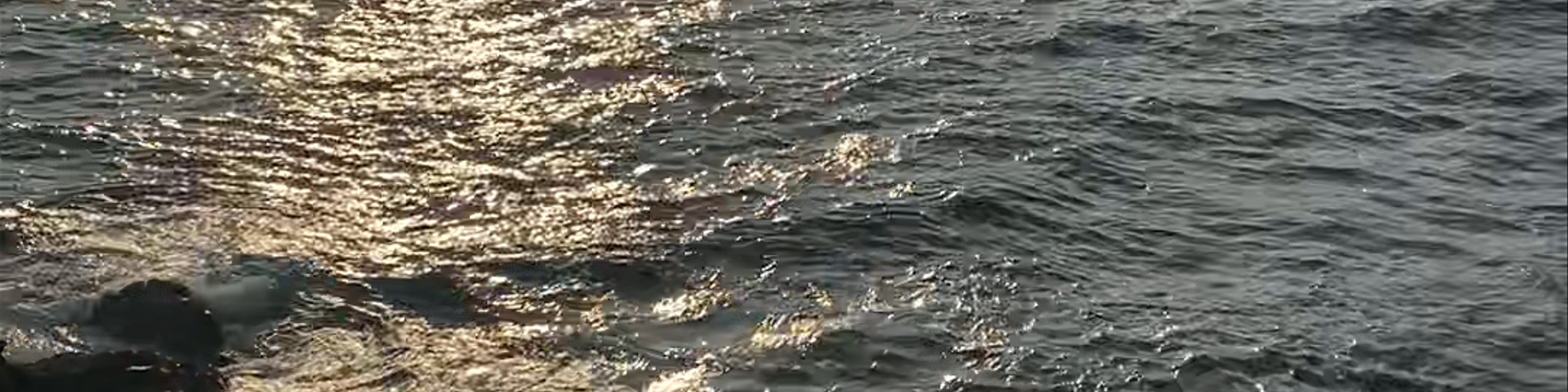 Puerto Escondido