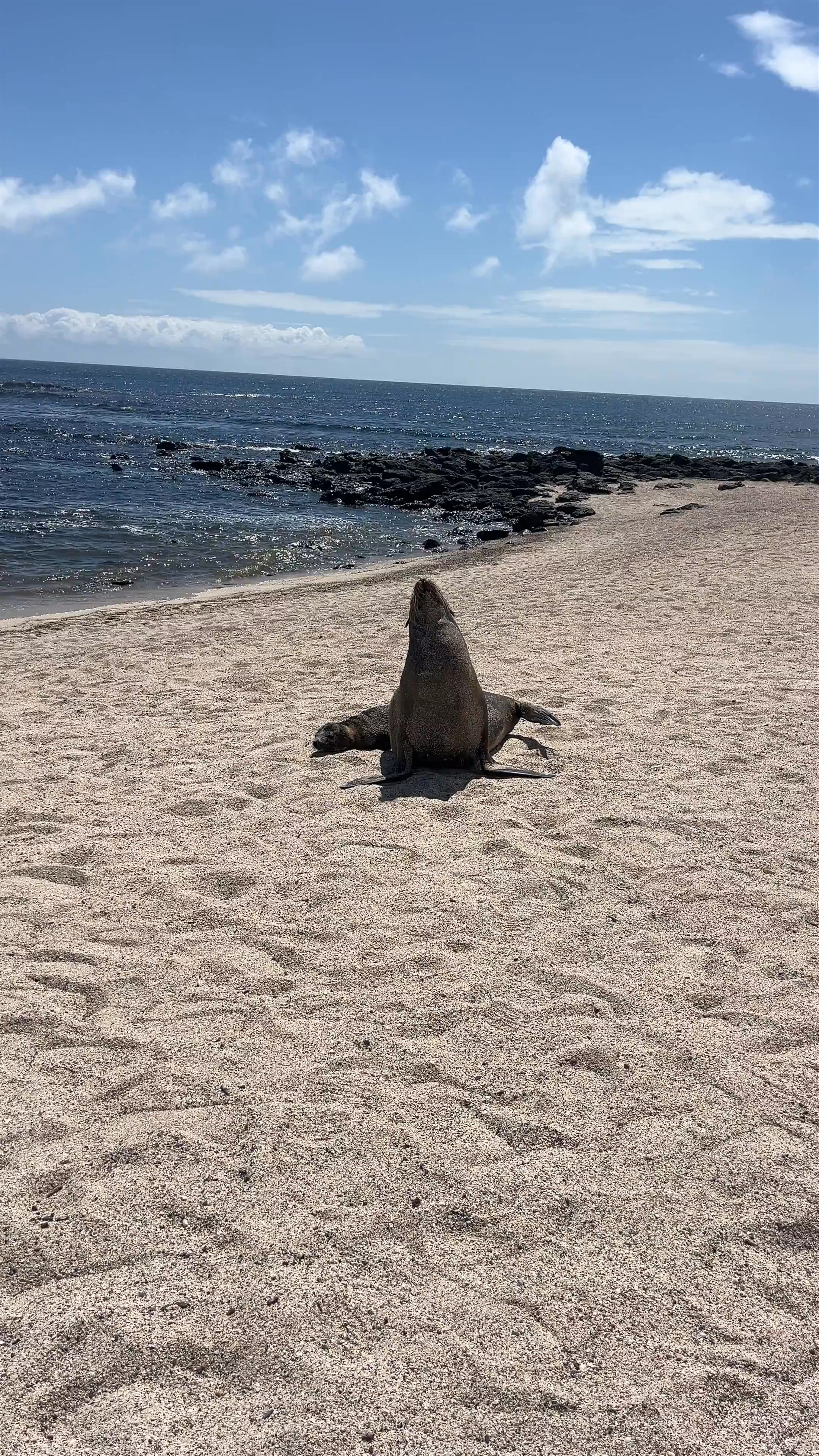 Playa Lobería