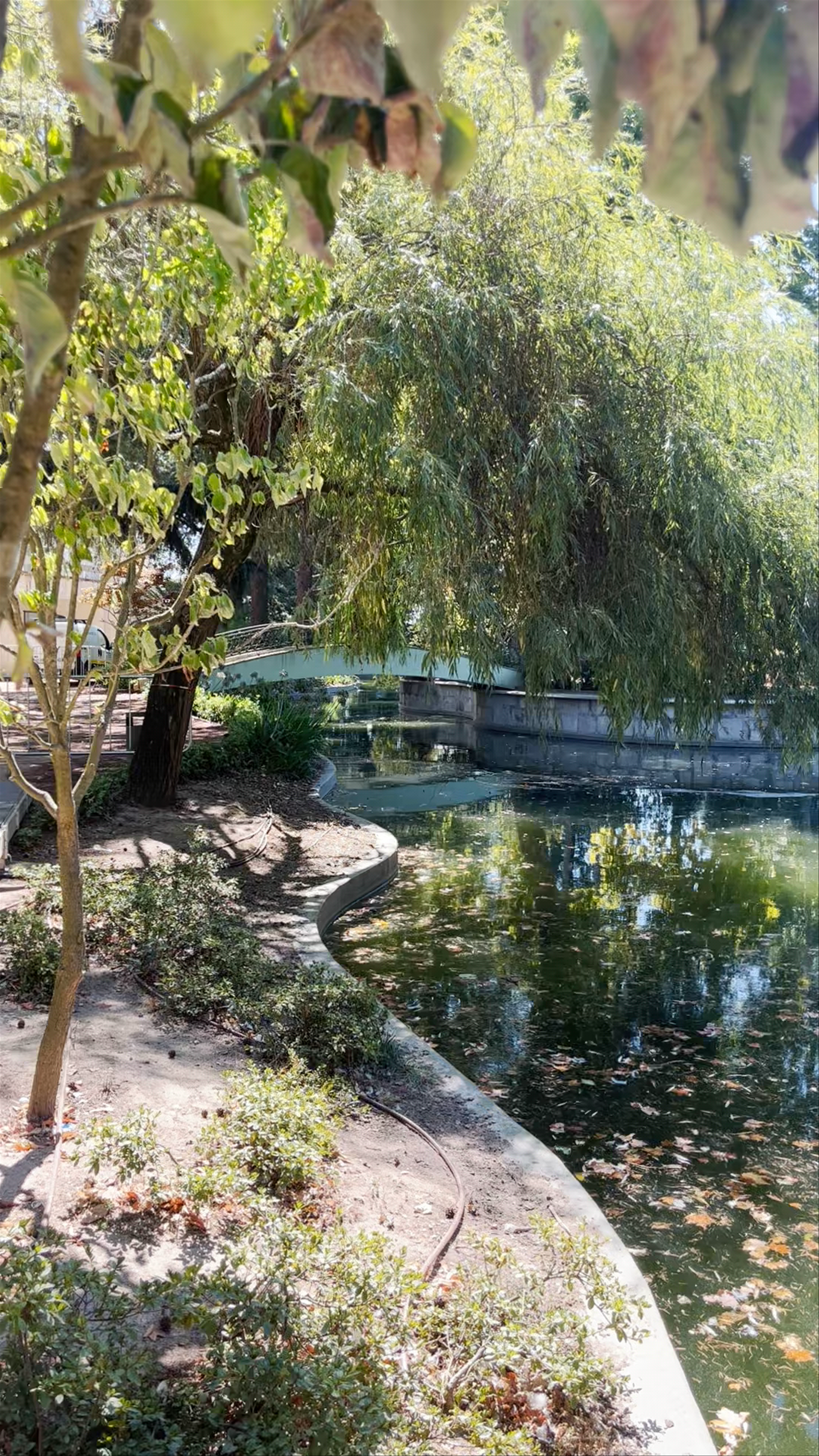 Jardines del Palacio de Cristal
