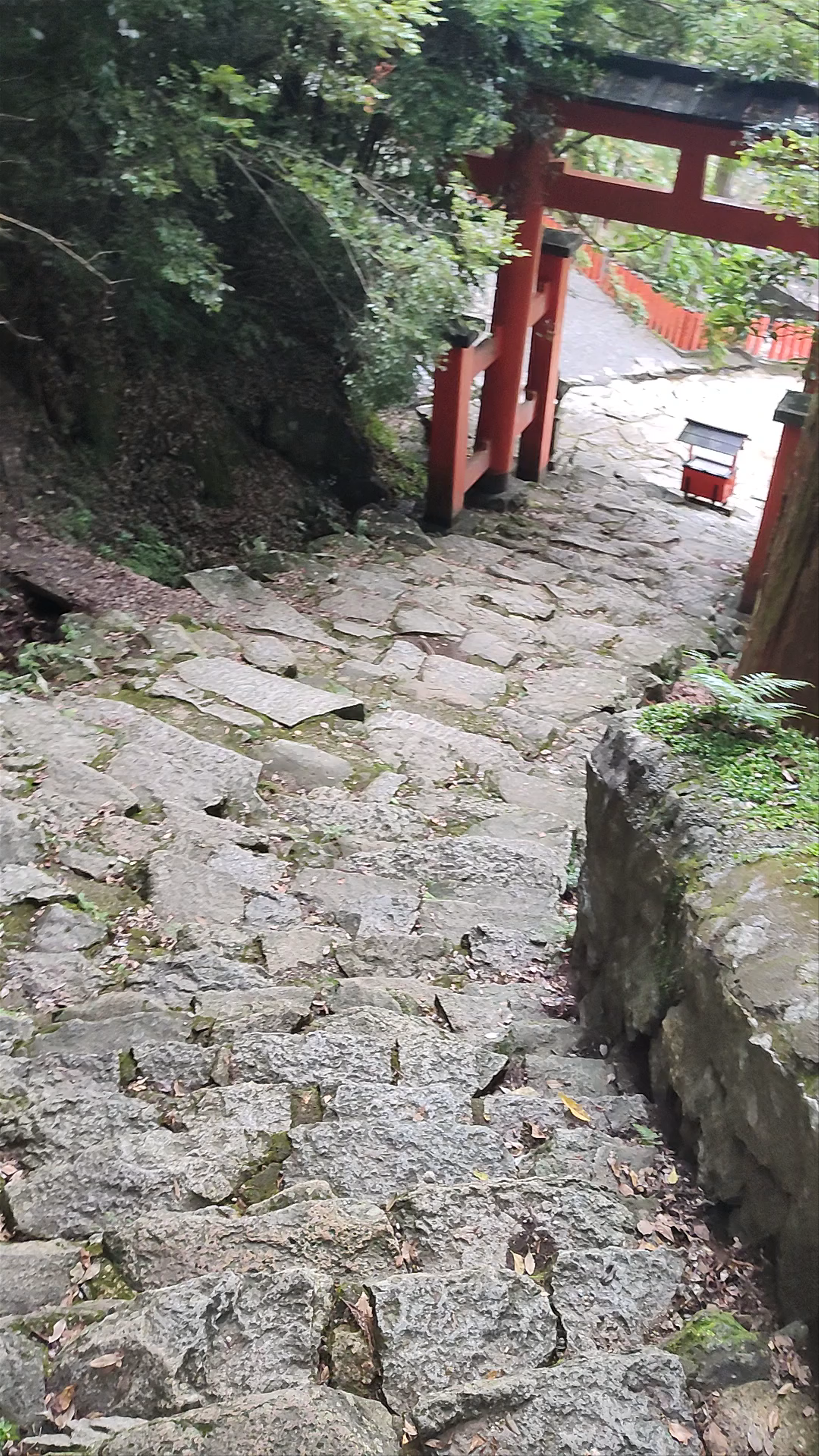 Kamikura Shrine Stone Staircase Journey in Shingu, Japan