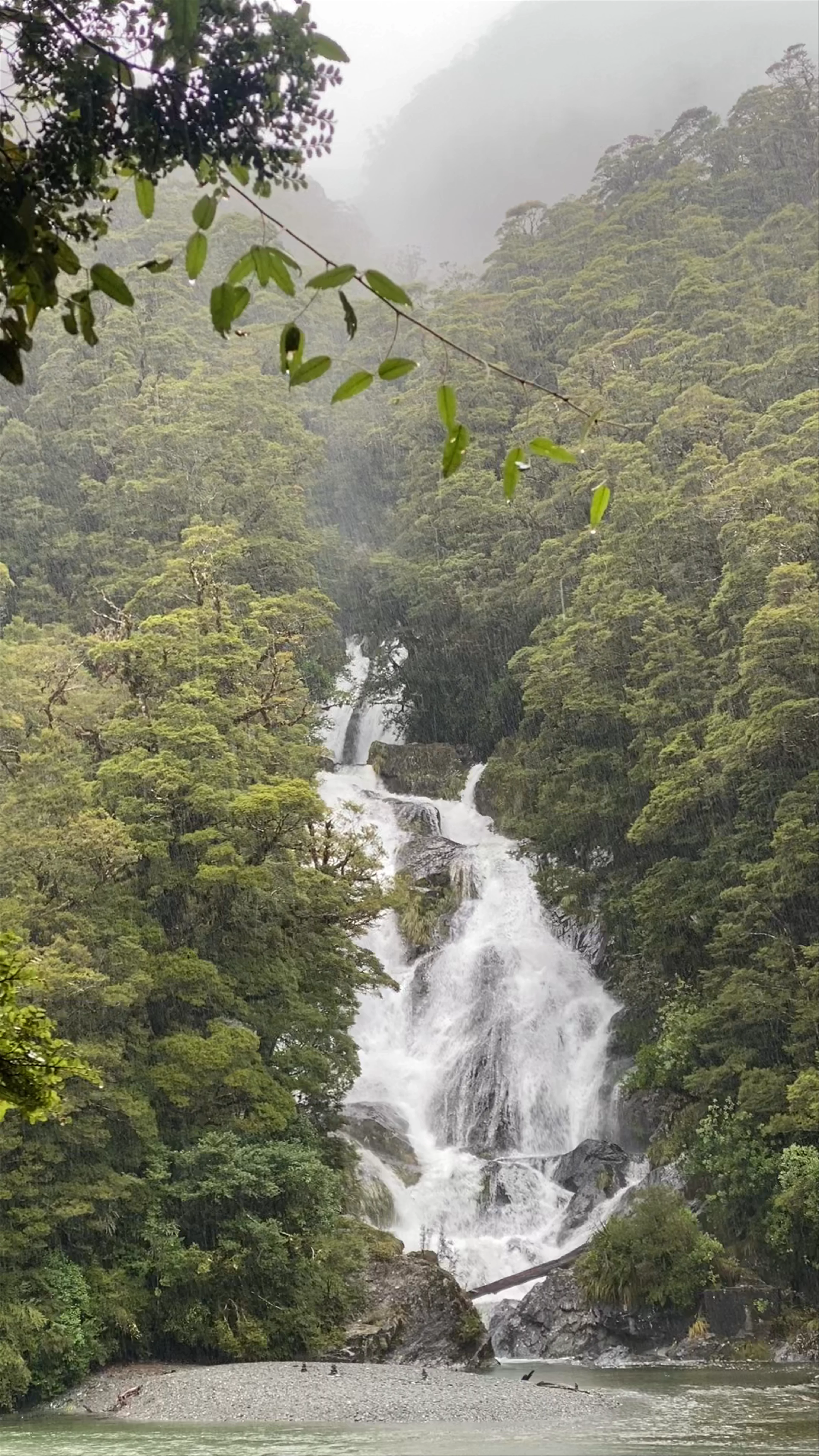 Fantail Falls, Mount Aspiring National Park