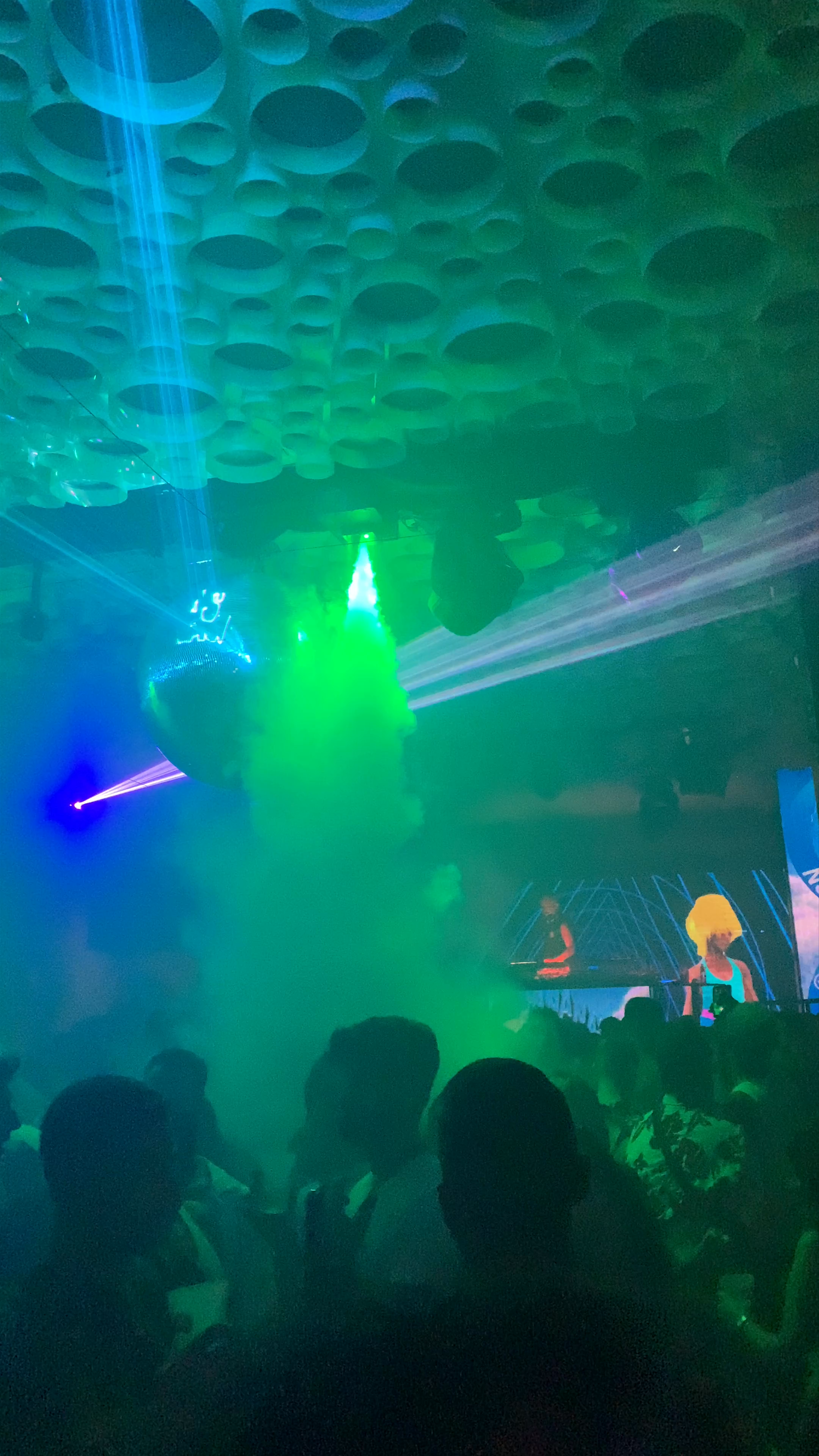 Safari Disco Club