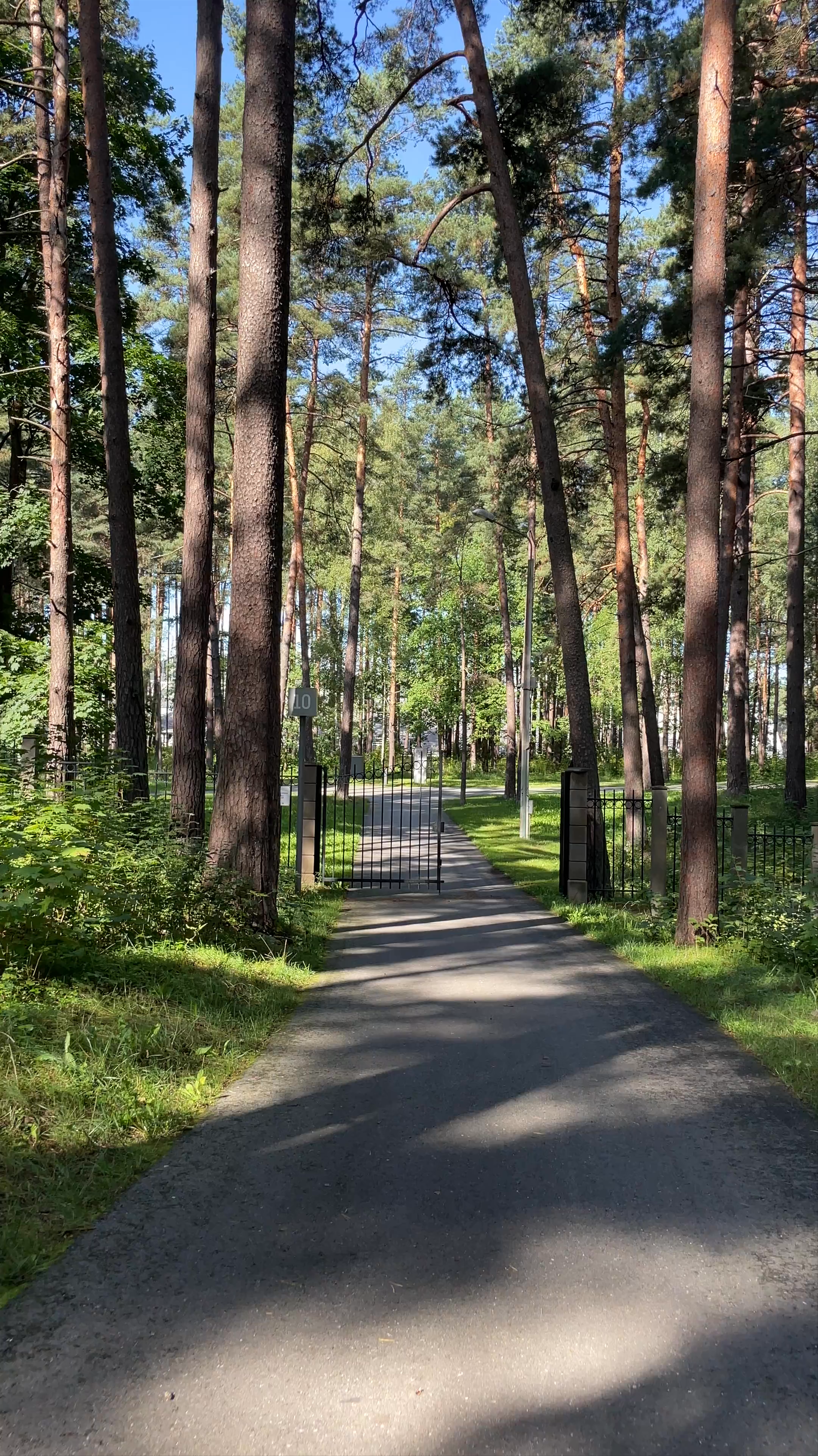 Serene Summer Walk Through Mežaparks, Riga’s Green Gem