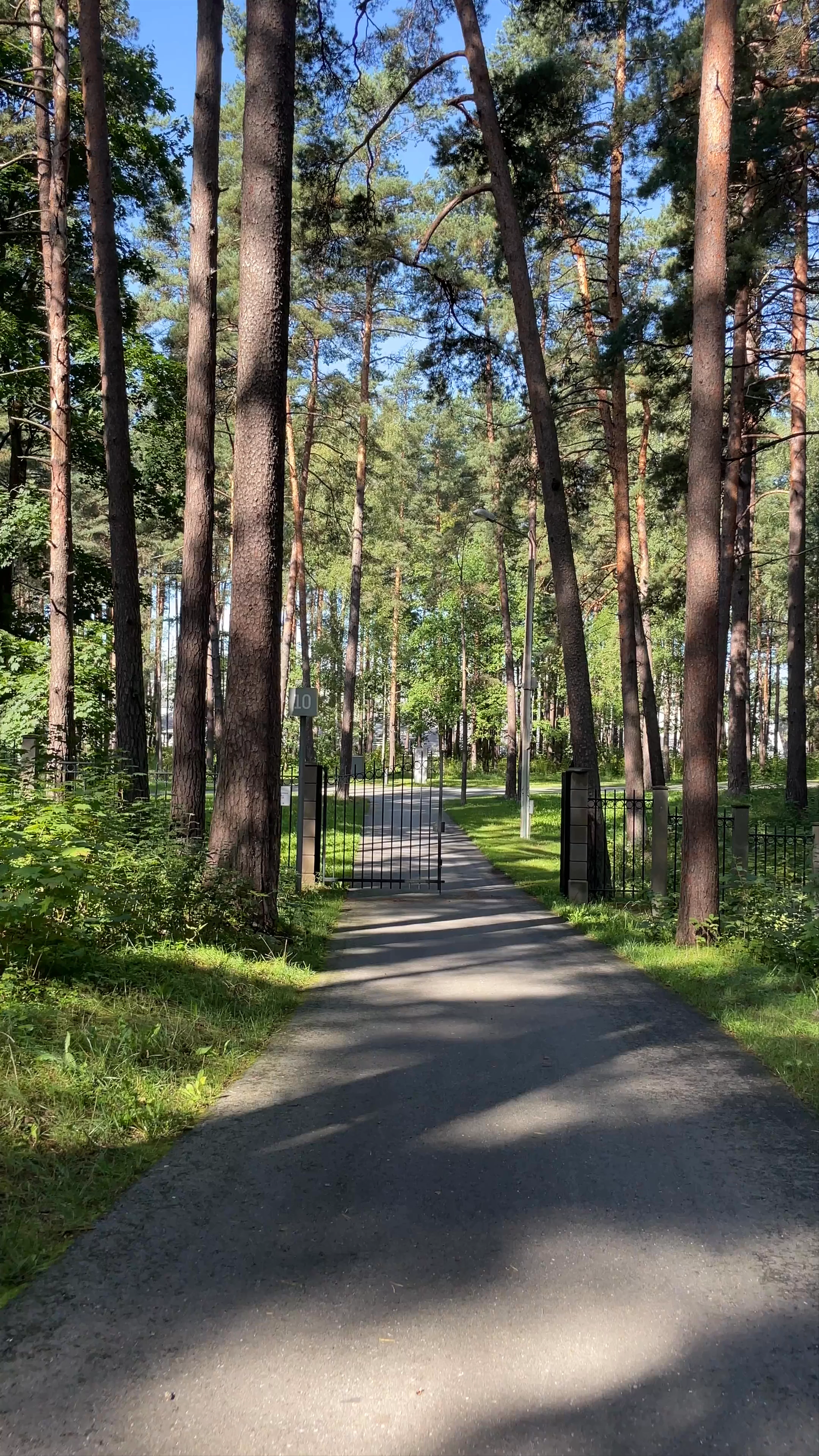 Mežaparks