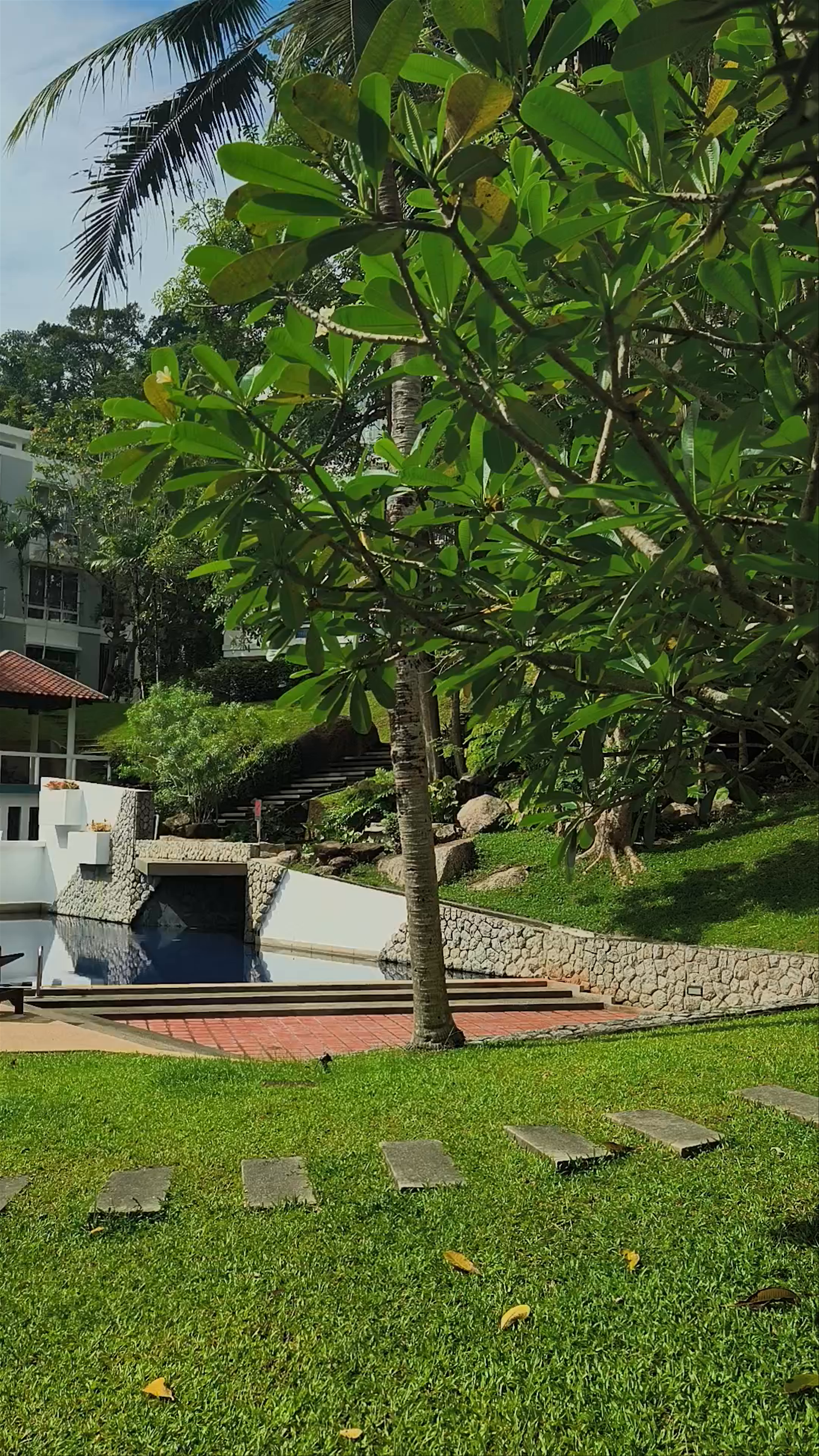 Tranquil Day at Kamala Hills Estate, Phuket