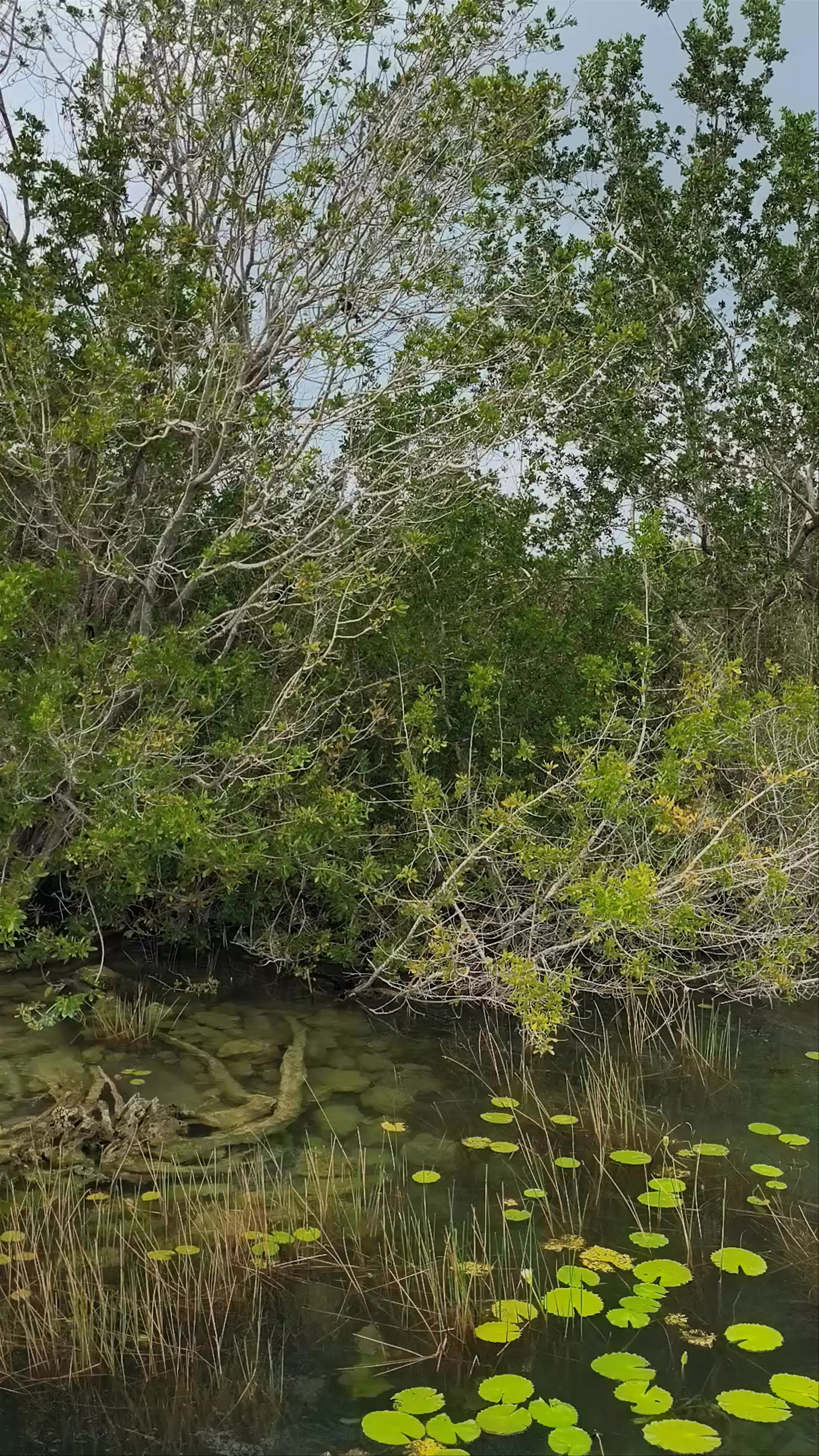Ecoparque Bacalar