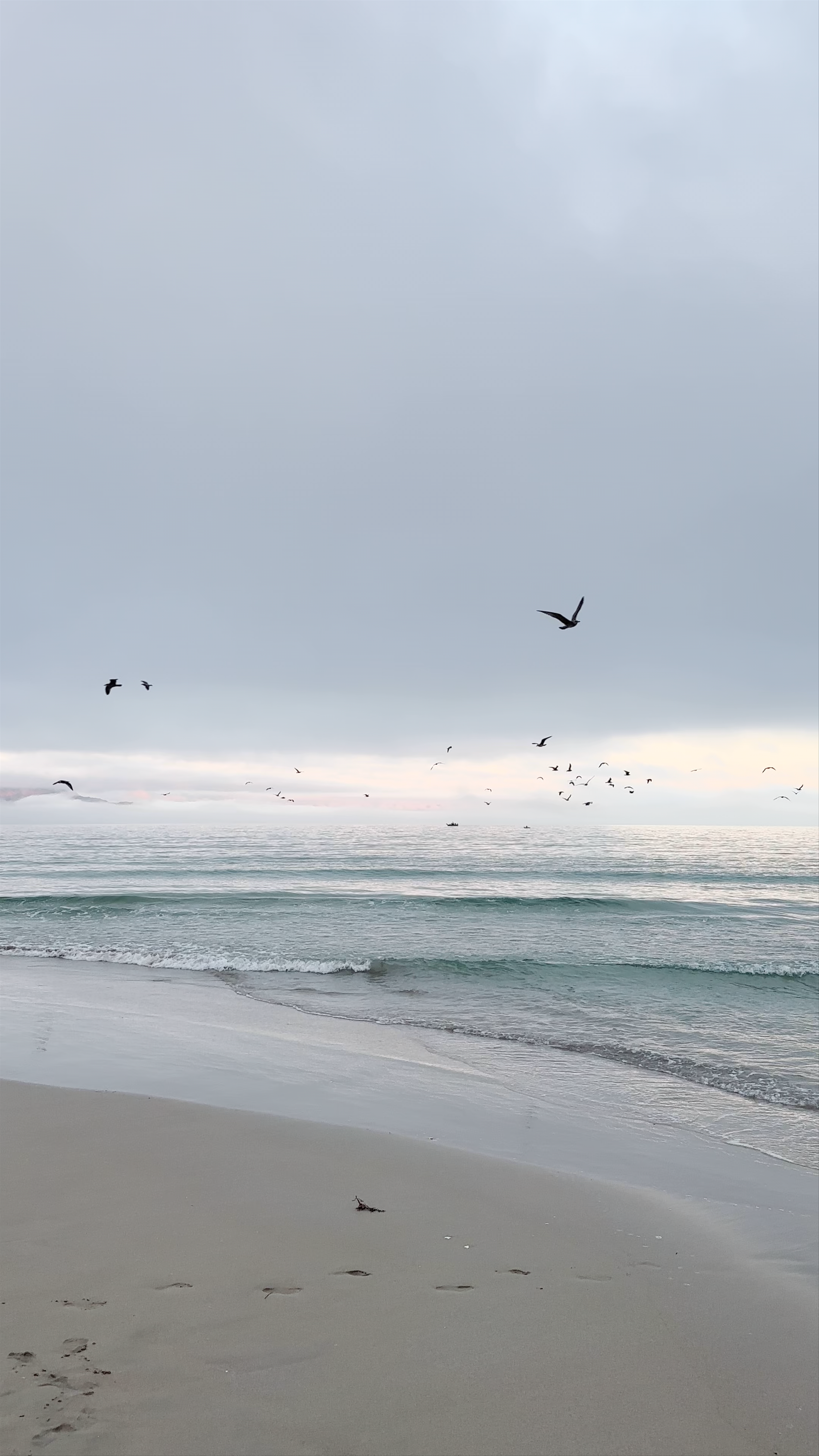 Praia Da Langosteira