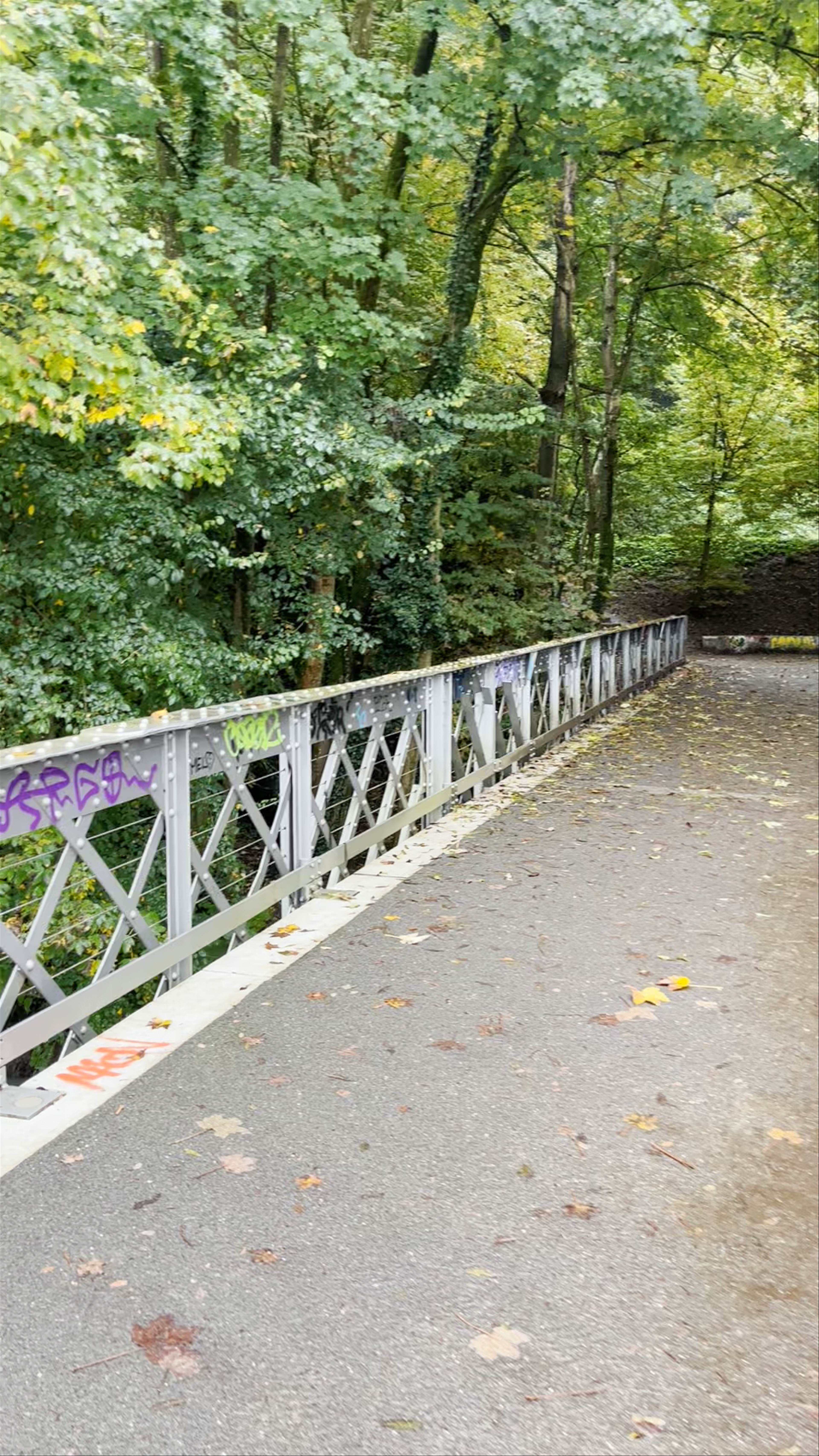Autumn Walk Along the Passerelle du Bois de la Bâtie in Geneva