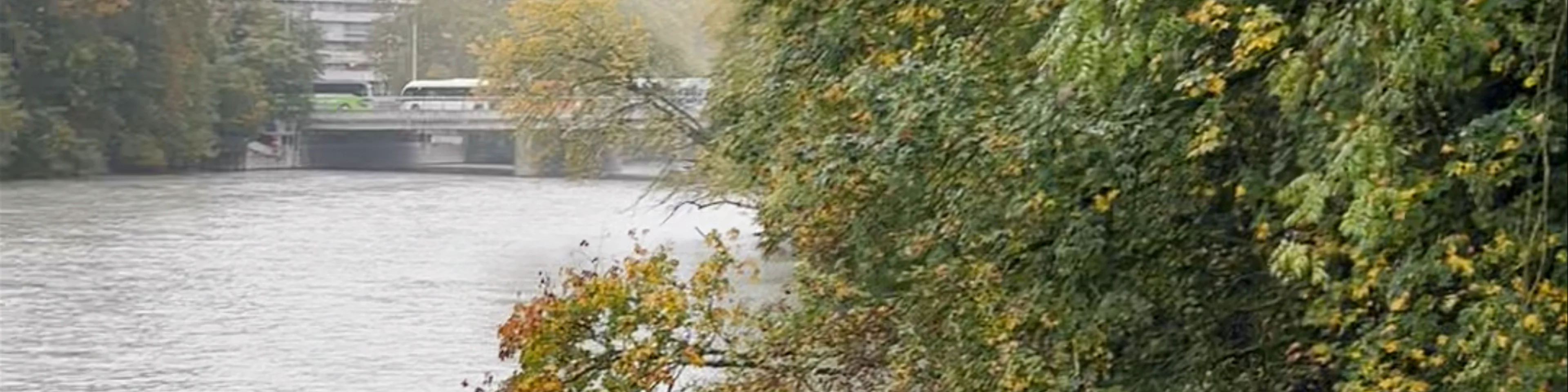 Passerelle du Bois de la Bâtie