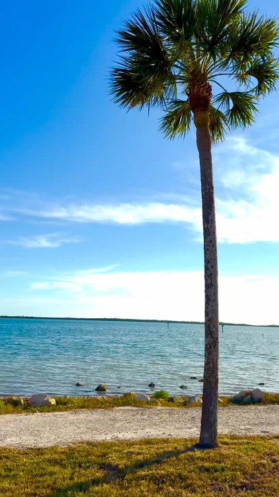 Dunedin Causeway - Beaches Near Me - Dunedin, Florida