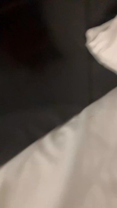 Hampton Inn & Suites Pauls Valley - Bed bugs crawling in a "clean room" - Hotels Near Me - Pauls Valley, Oklahoma
