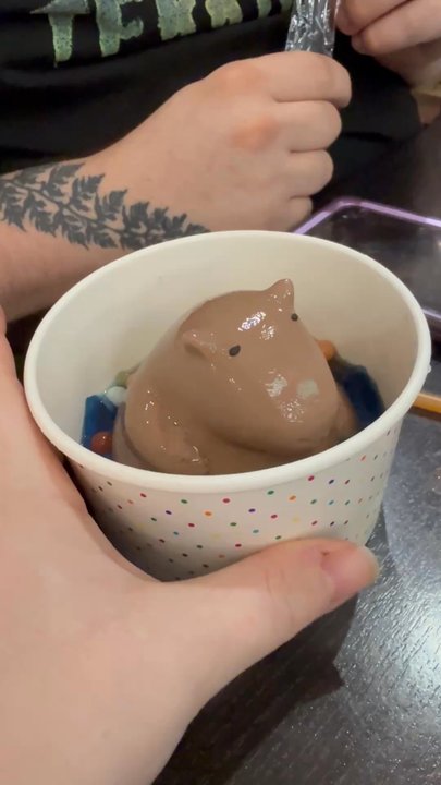 Little Cafes X Matcha Republic - Coffee & Tea Near Me - Carrollton, Texas