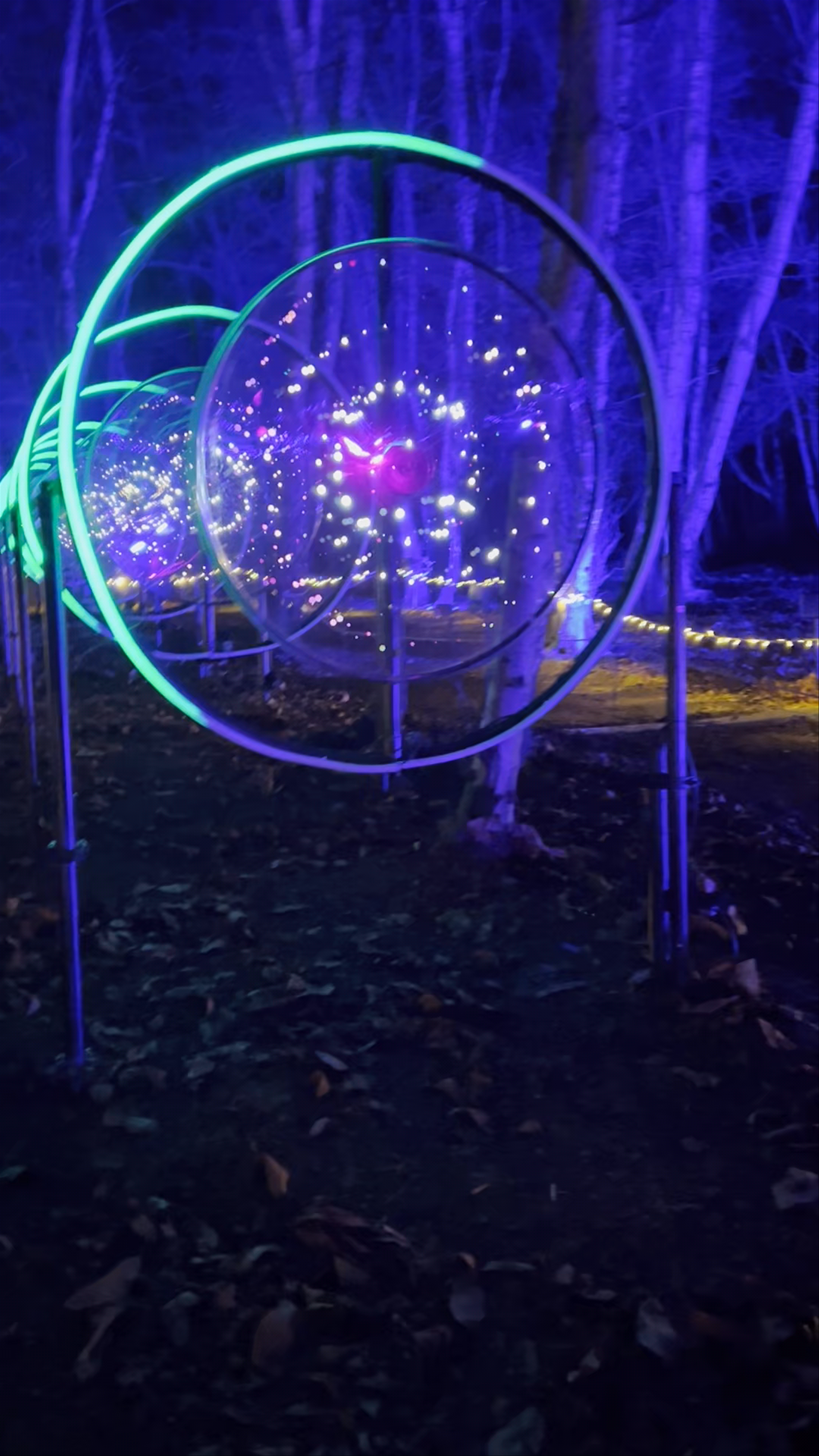 Windsor Great Park Illuminated