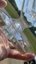 Small image 8
