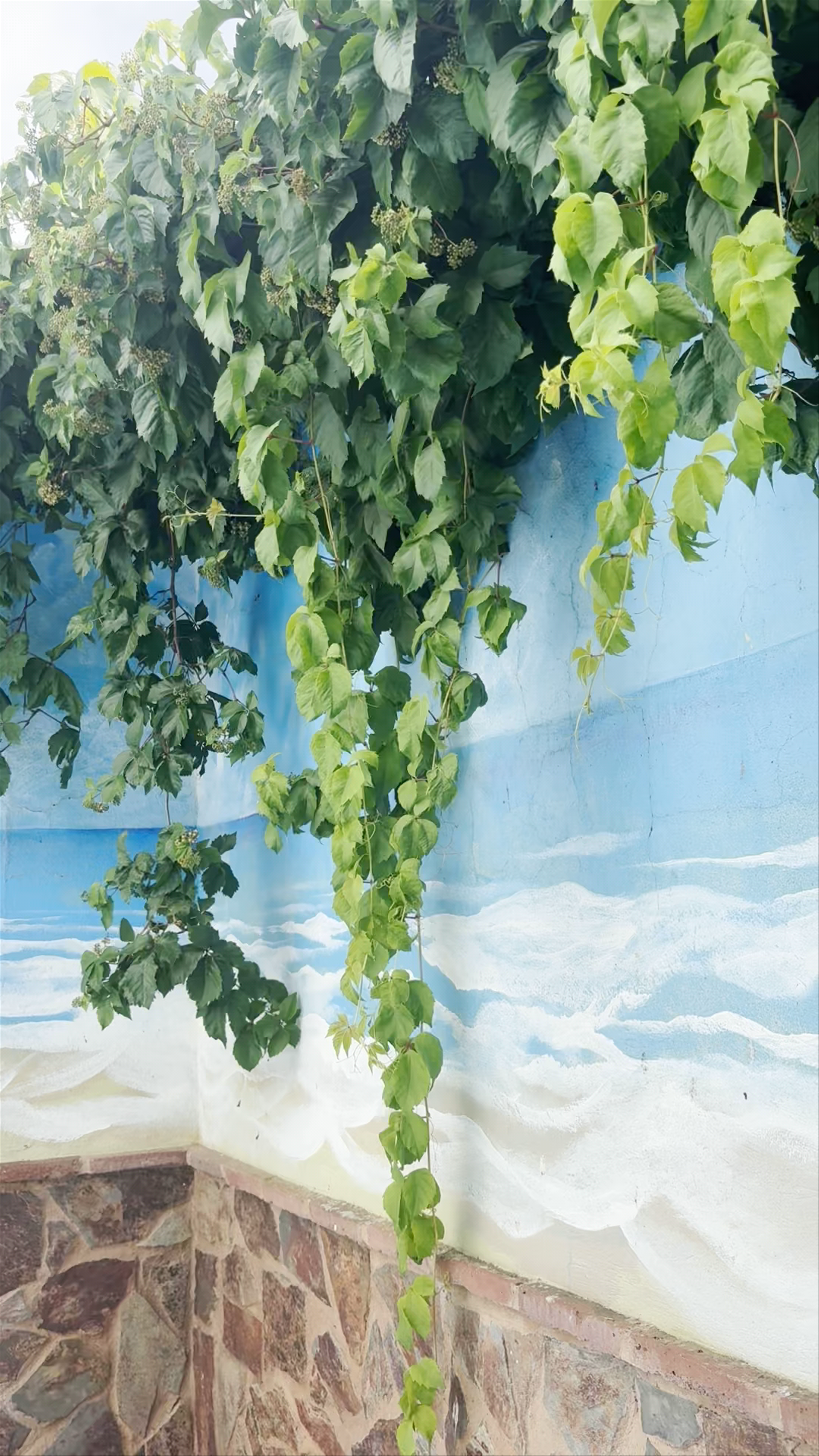 Casa-Apartamento Rural El Zaguán de la Plata