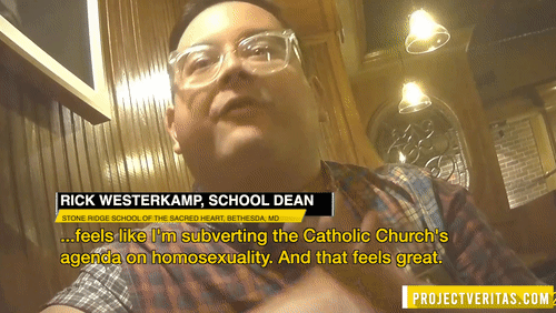 Video Thumbnail Loop