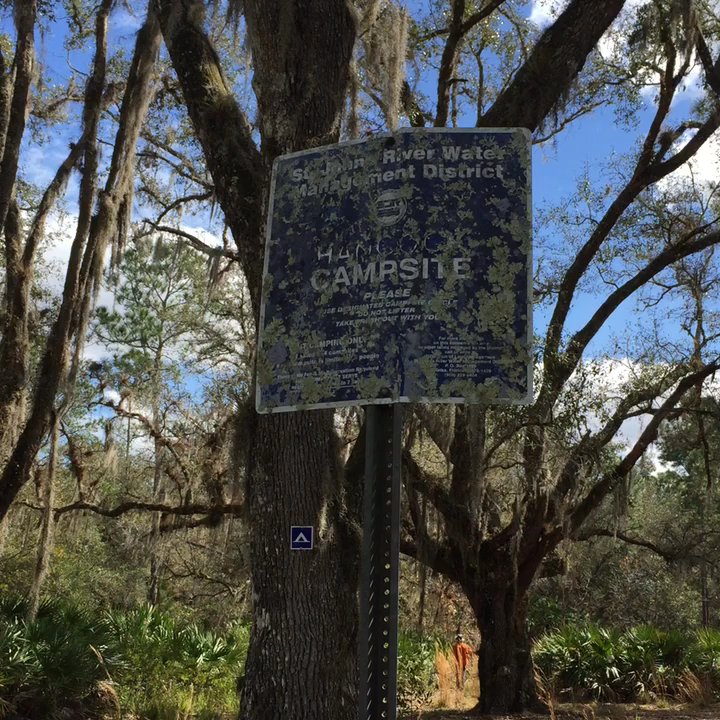 Hal Scott Preserve - Primitive camp site on the yellow trail - Parks Near Me - Orlando, Florida