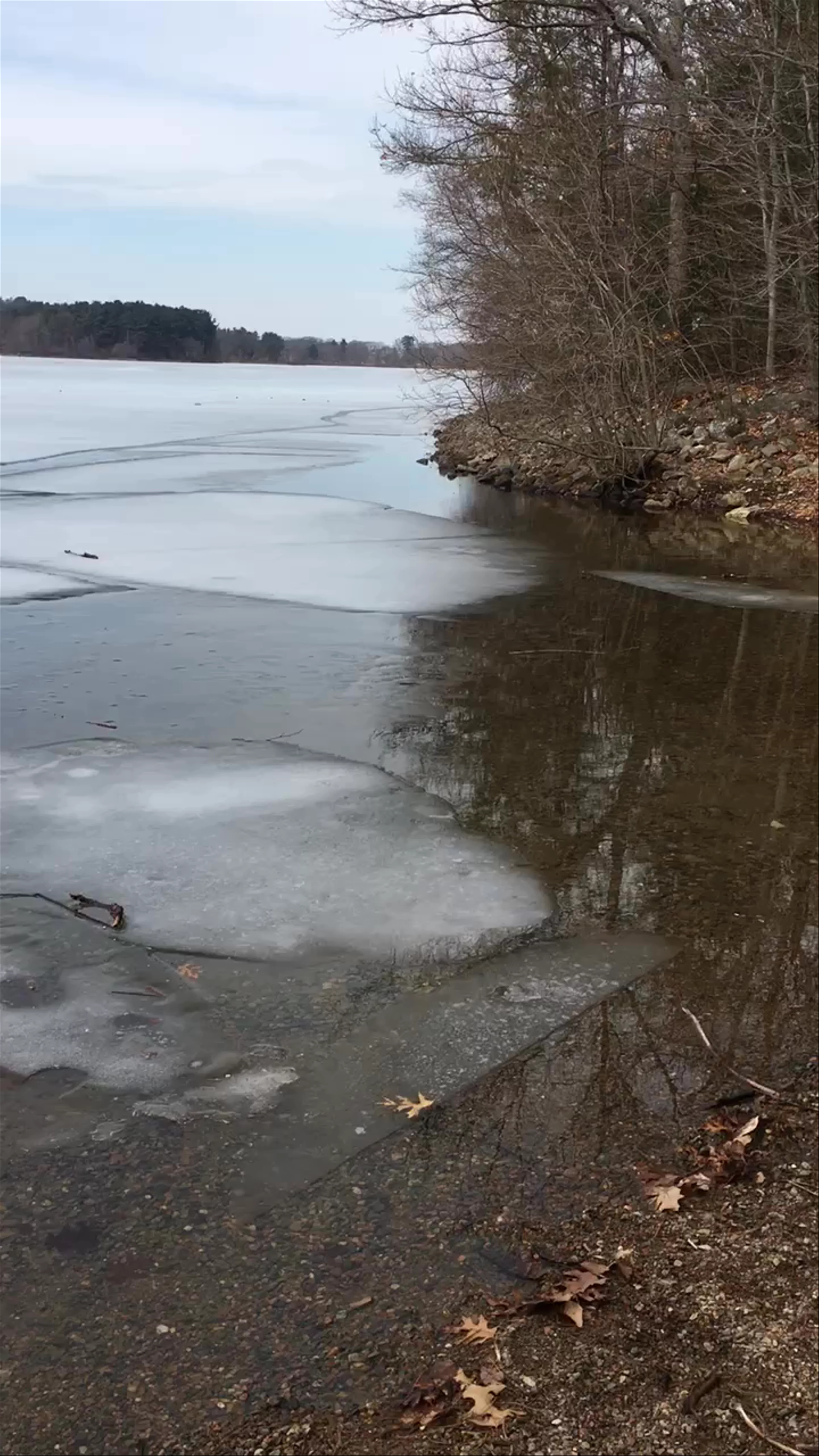 Spot Pond Boating Center