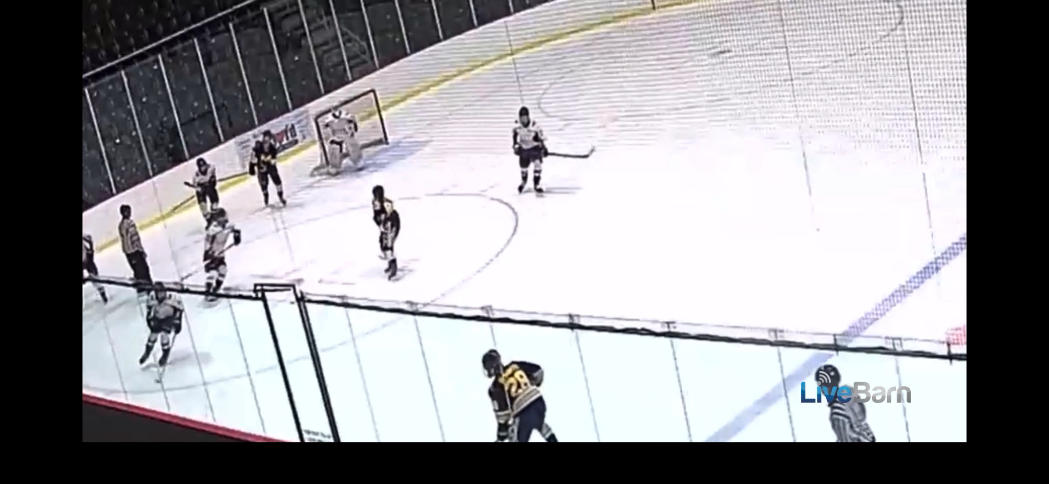 Alexander DeSantis: Impressive Point Shot Goal Highlight