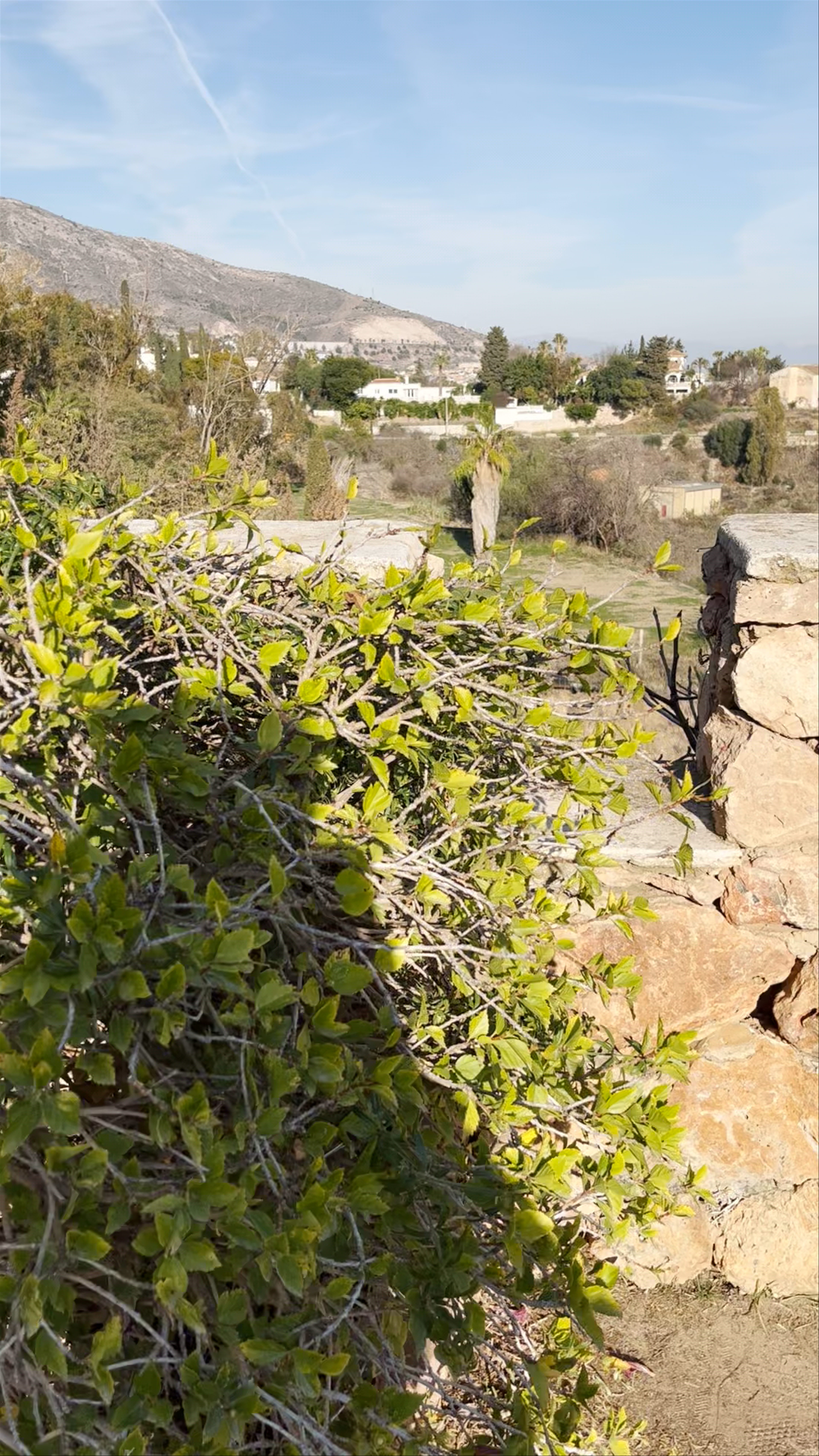 Castillo de Colomares