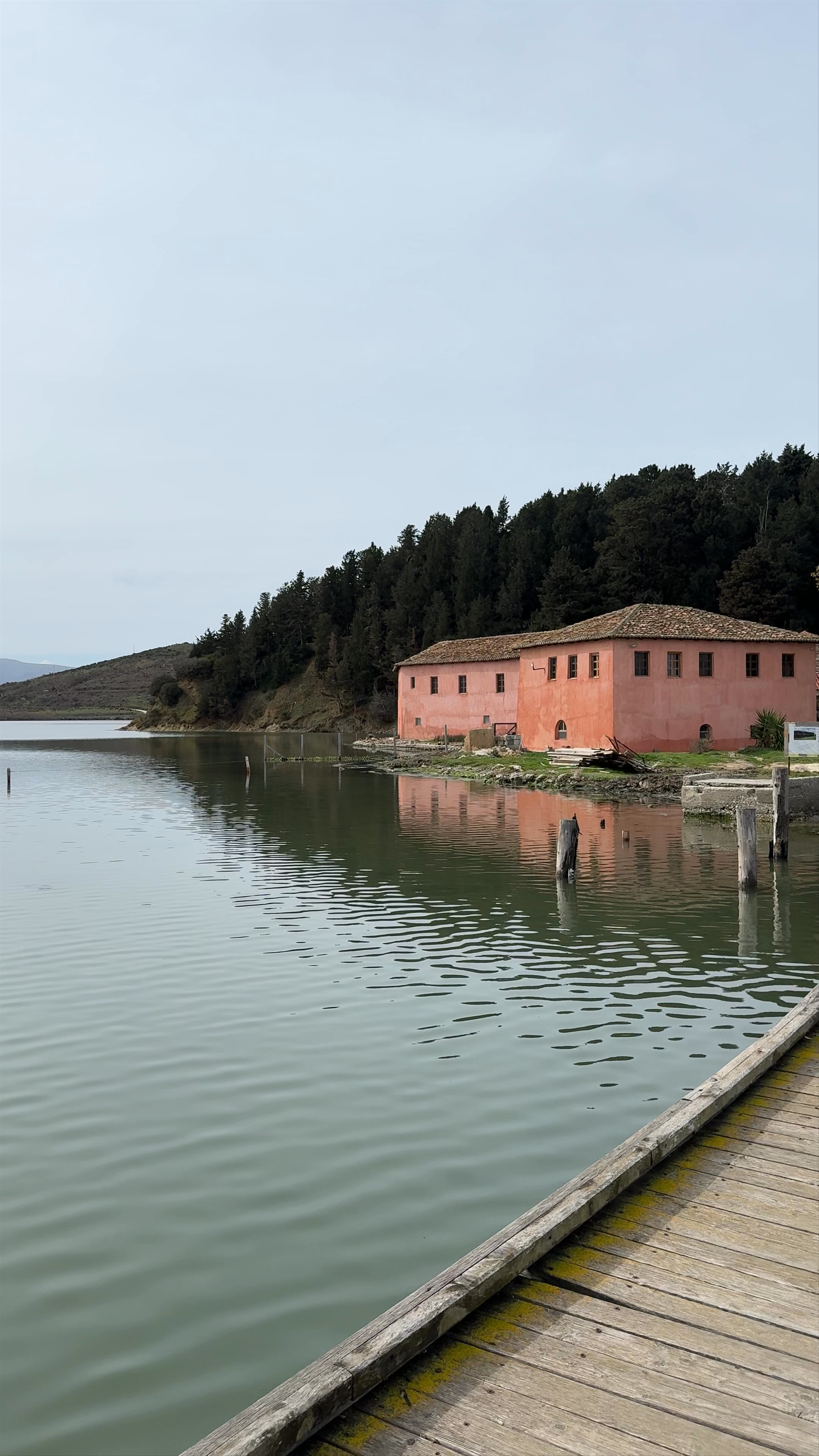Mystical Serenity at Zvernec Island, Albania