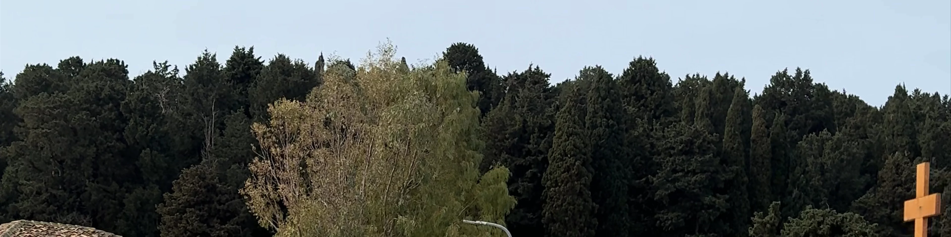 Zvernec Island