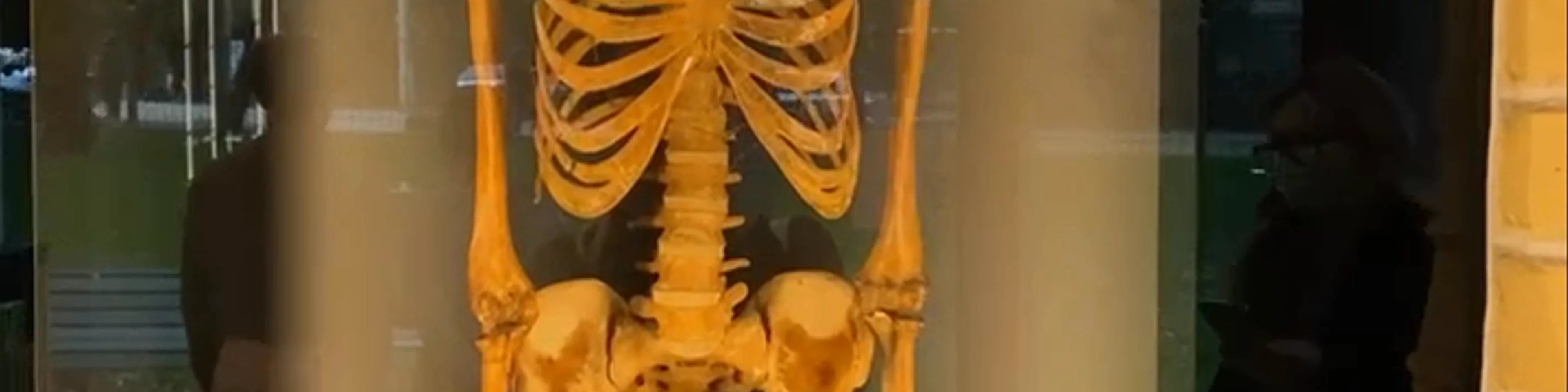 RSU Anatomy Museum