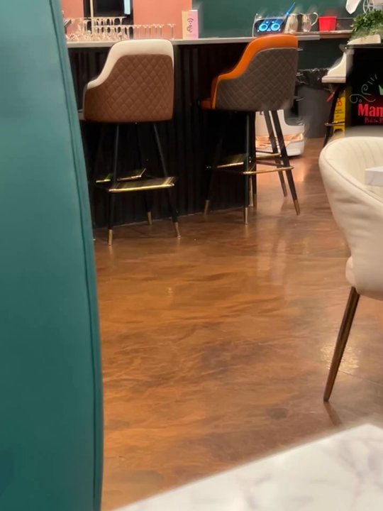 Mamacita - Robot Cat delivers Food straight to your table while playing a cute little song - Mexican Near Me - Raleigh, North Carolina
