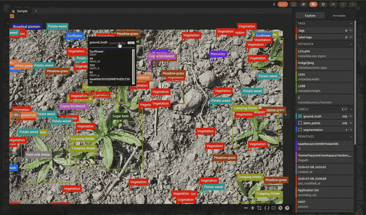 CropAndWeed dataset in the FiftyOne app showing top-down field images with crop and weed detection labels