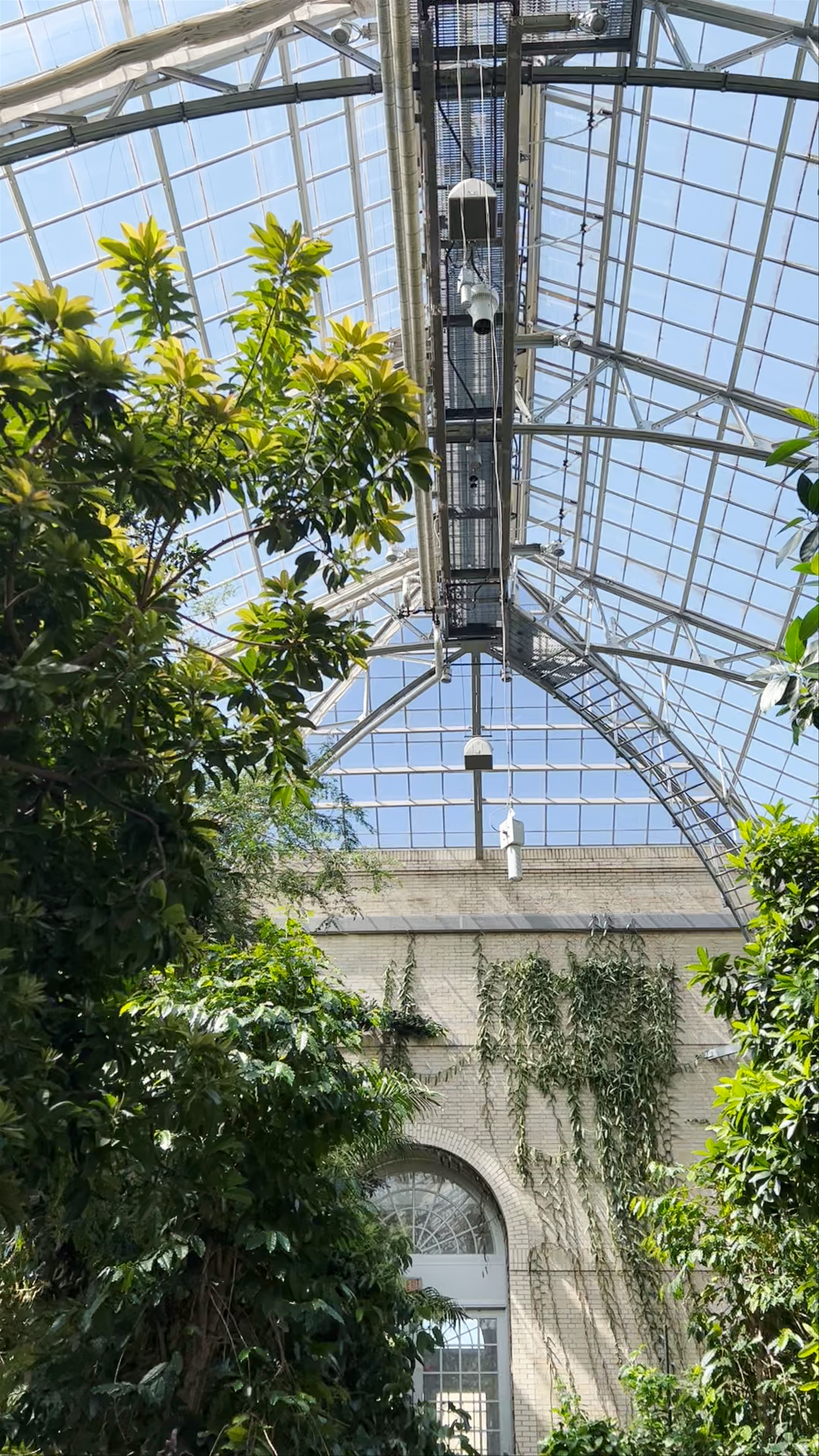 United States Botanic Garden: Lush Indoor Oasis in Washington, DC