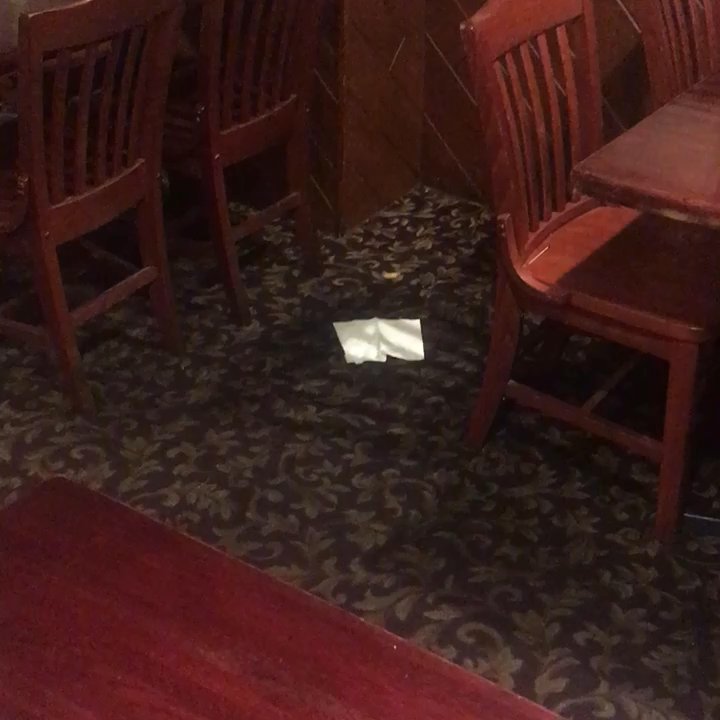 The Hub Pub - I love the food and so do the mice - Pubs Near Me - Boston, Massachusetts