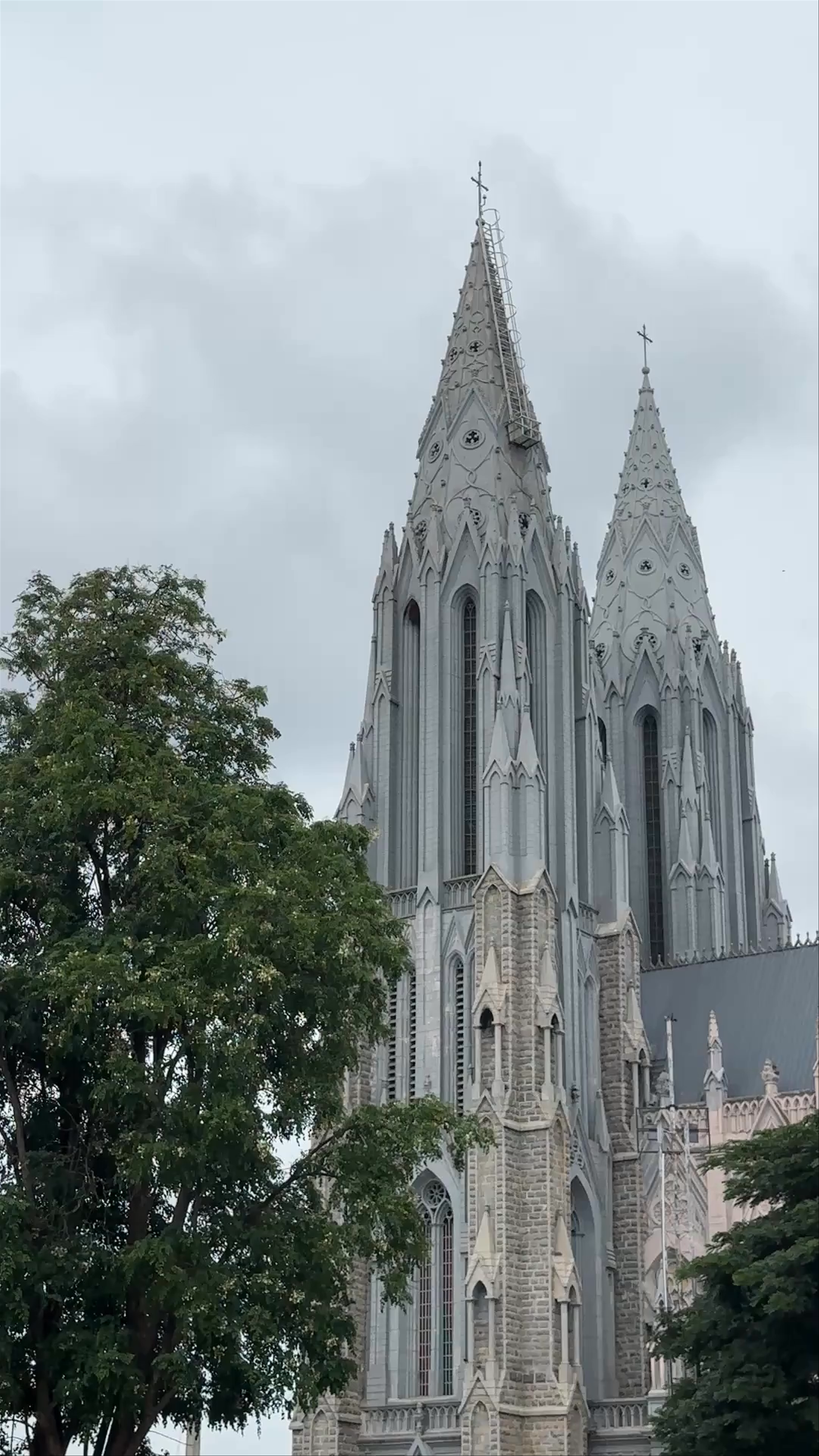 St. Joseph's Cathederal (St. Philomena's shrine)