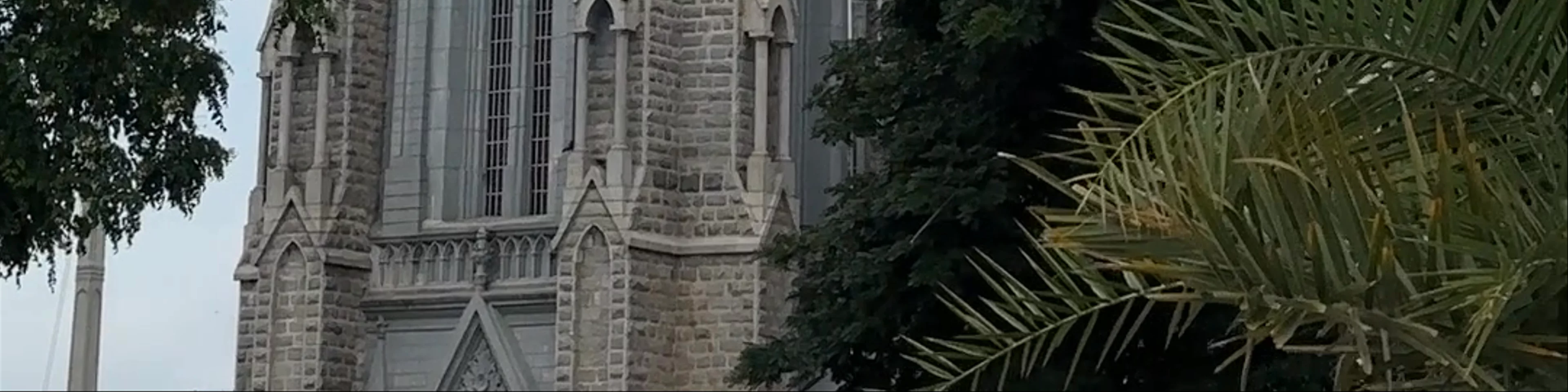 St. Joseph's Cathederal (St. Philomena's shrine)