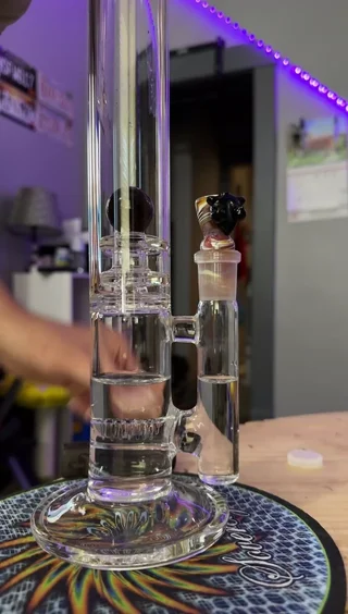 Preview pic of OG Gnob
