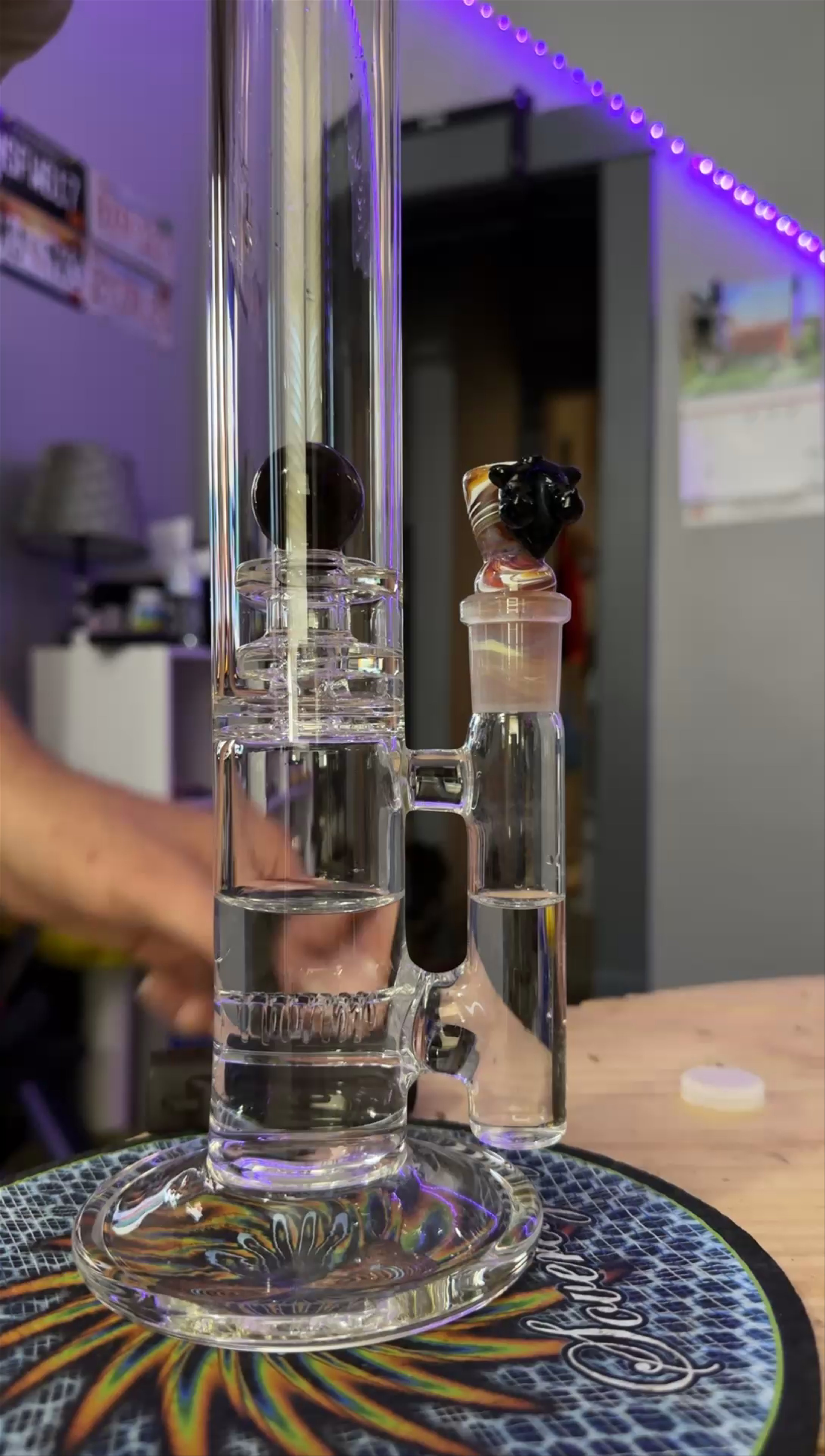 Preview pic of OG Gnob