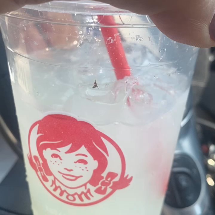 Wendy's - Nasty ANT inside Lemonade!! - Fast Food Near Me - Fremont, California
