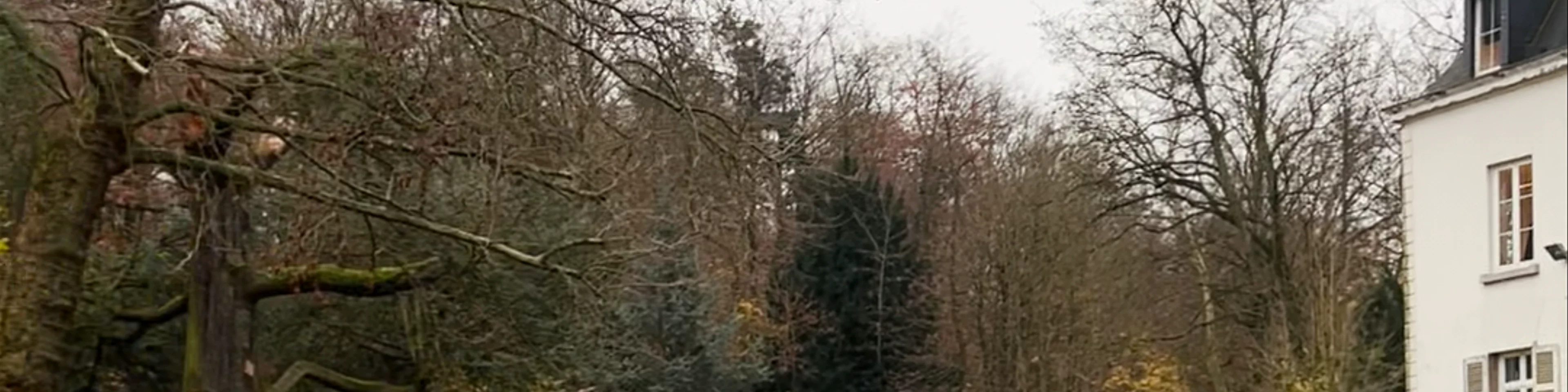 Parc de Wolvendael