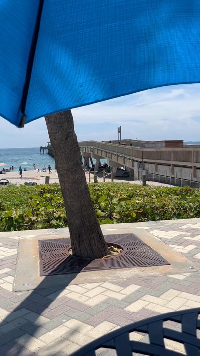 Deerfield Beach Cafe - Breakfast & Brunch Near Me - Deerfield Beach, Florida