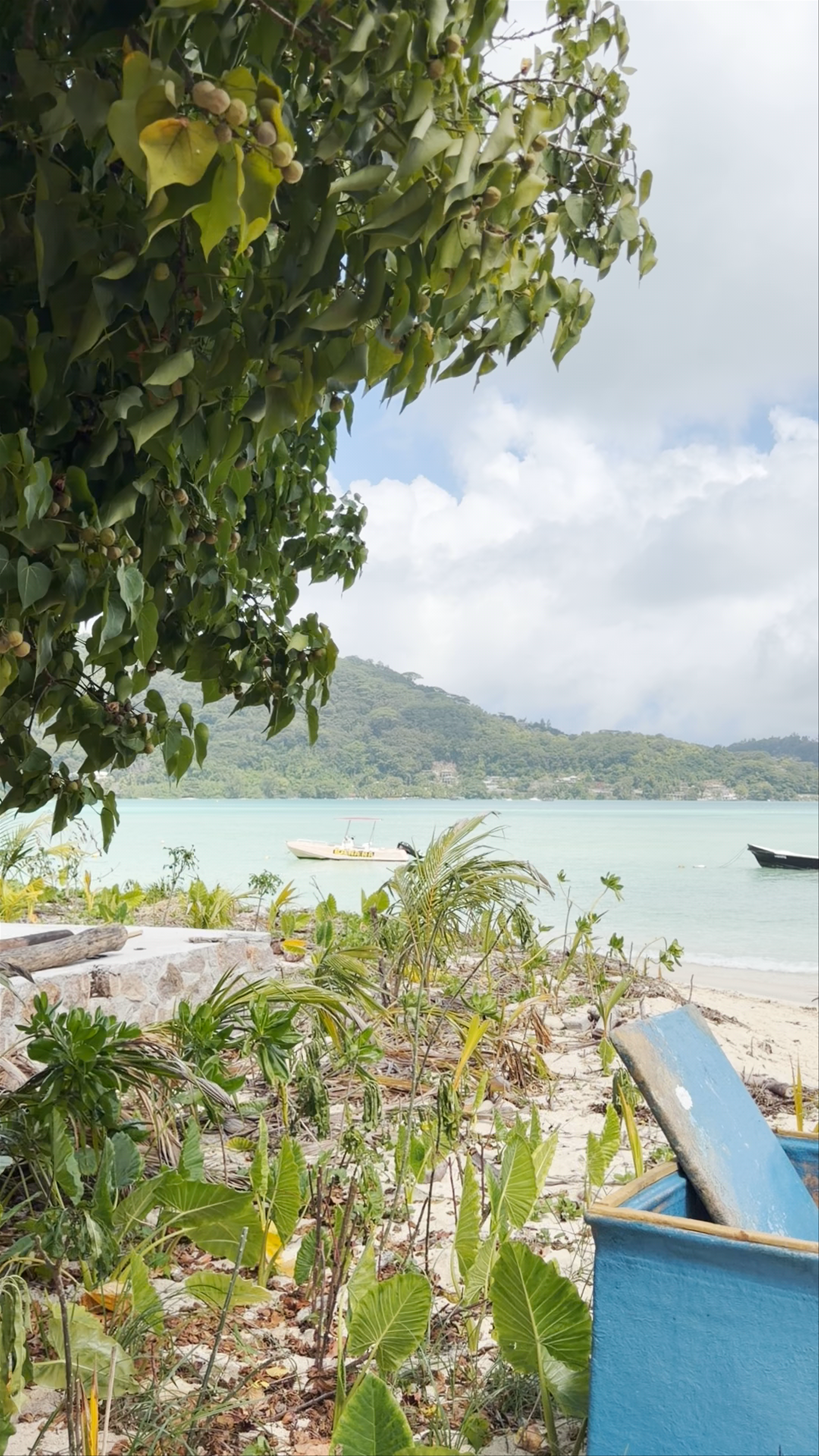Petite Anse Beach
