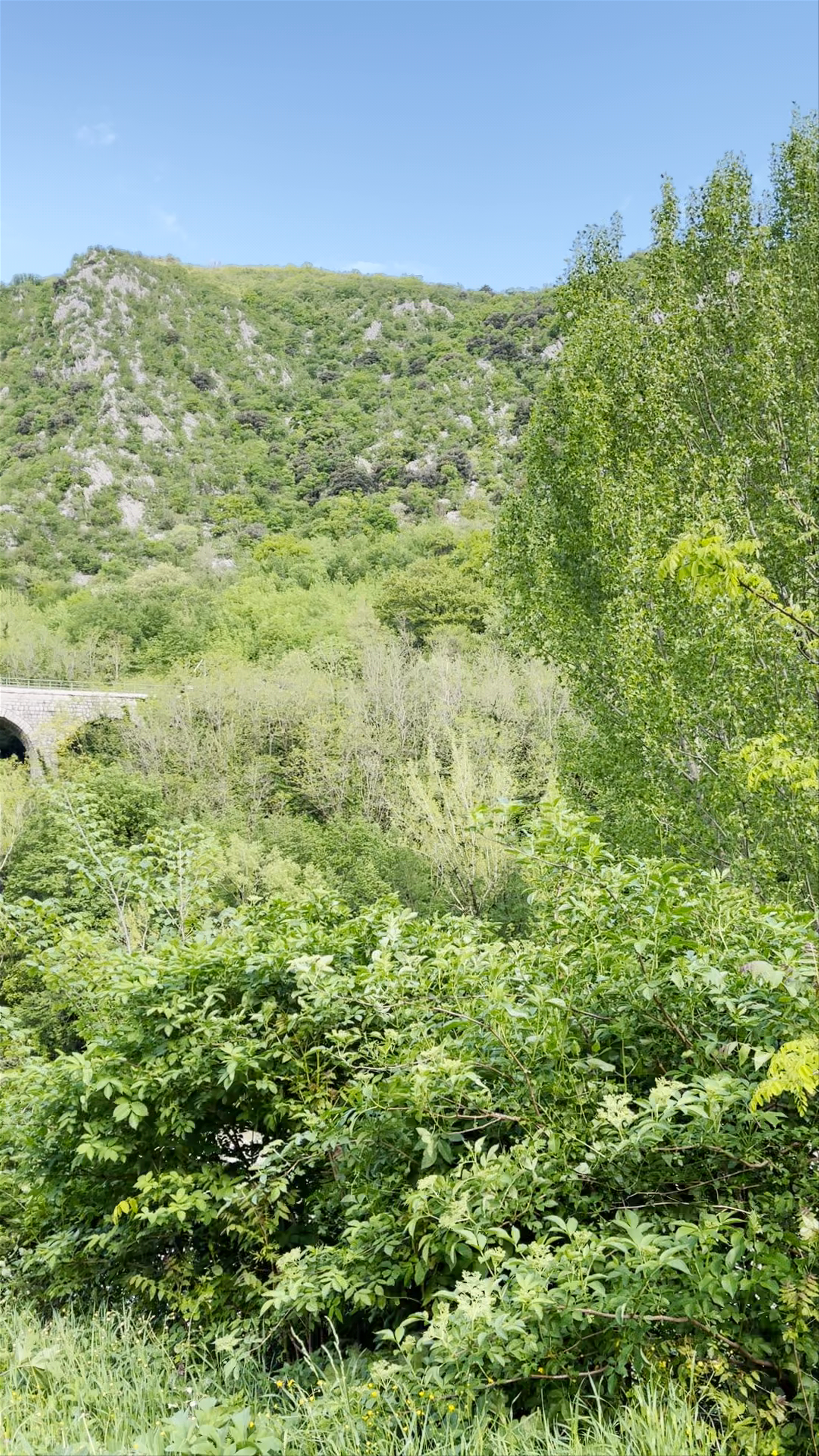 Solkan/Salcano Bridge