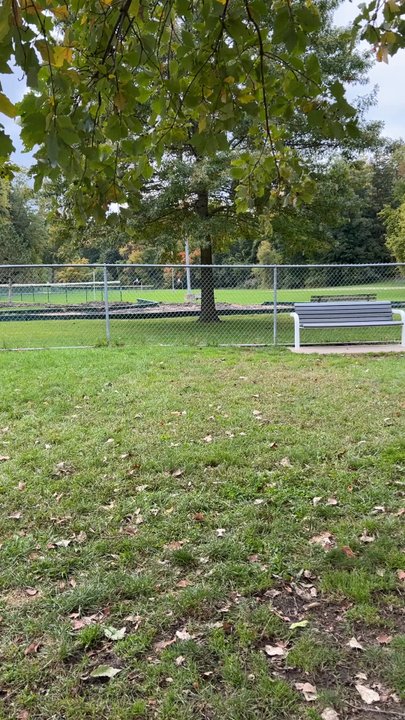 Kiwanis Park - Here's a lot of the other amenities outside the dog park! - Skate Parks Near Me - Saint Joseph, Michigan