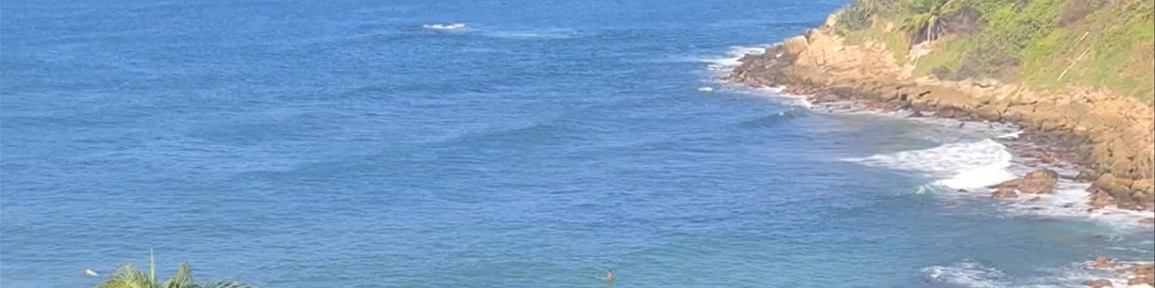 Playa Carrizalillo