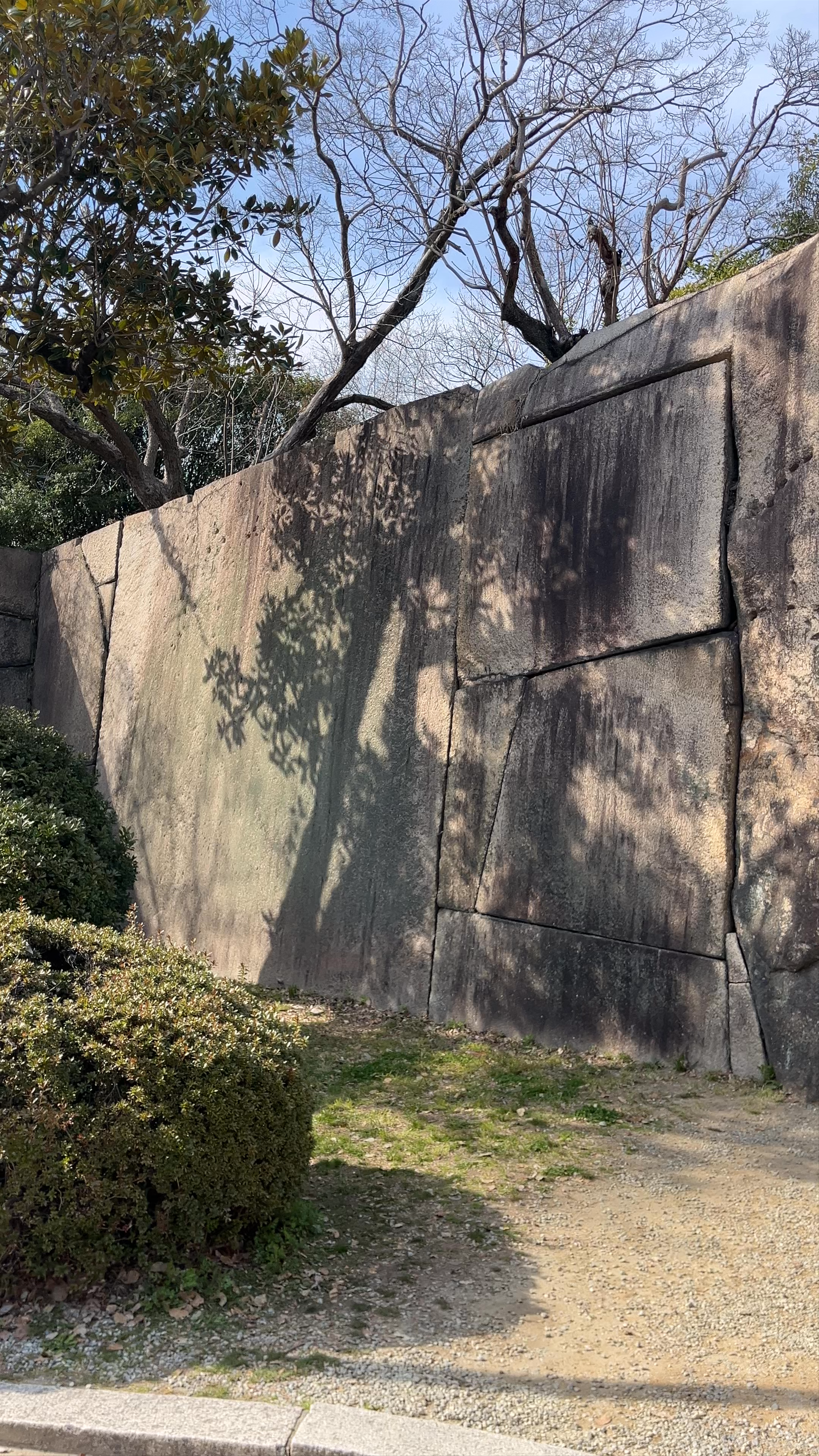 Takoishi- Piedra Pulpo