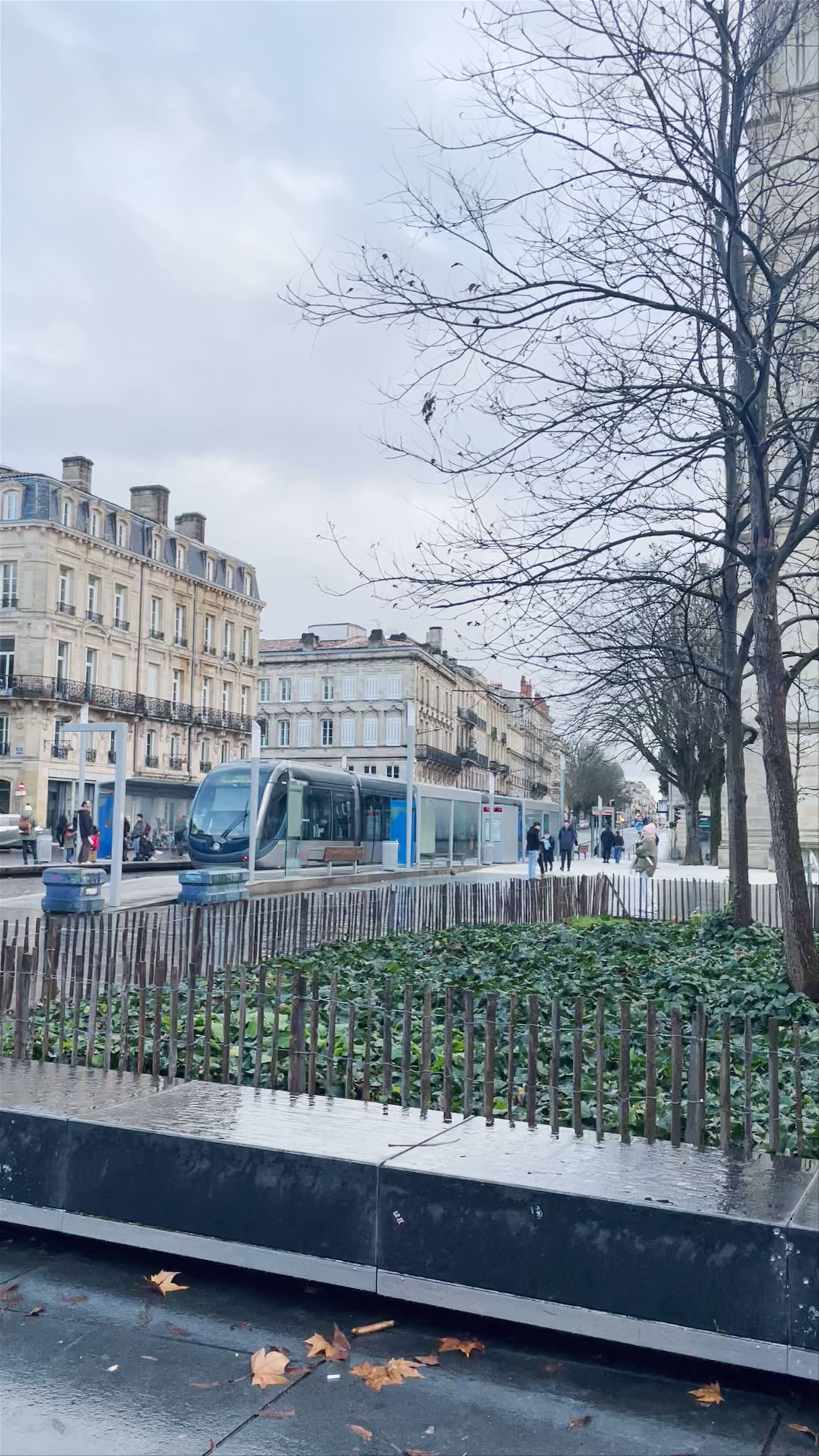 Tour Pey Berland: Winter Charm in Bordeaux