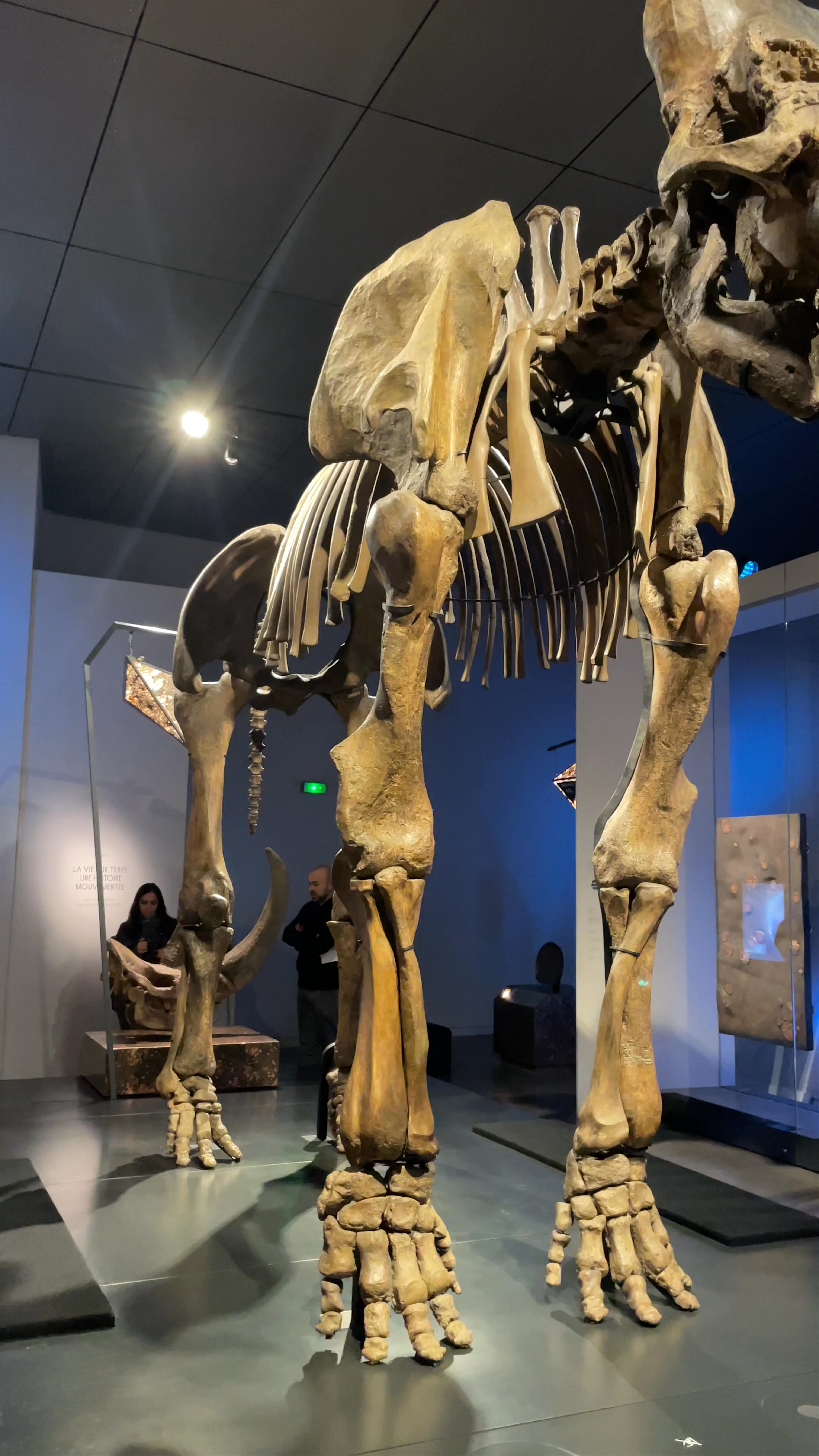 Musée des Confluences