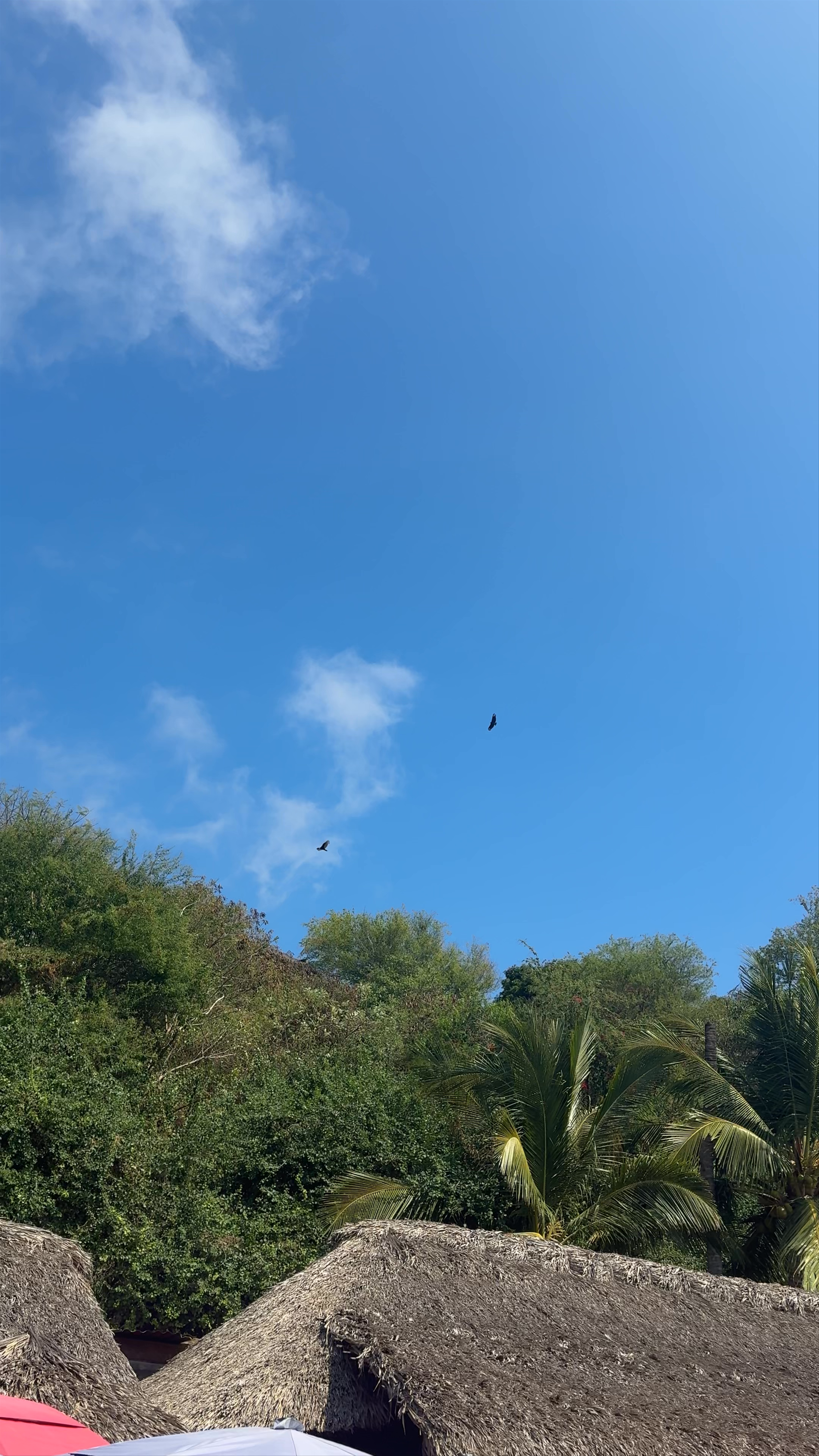 Playa Carrizalillo